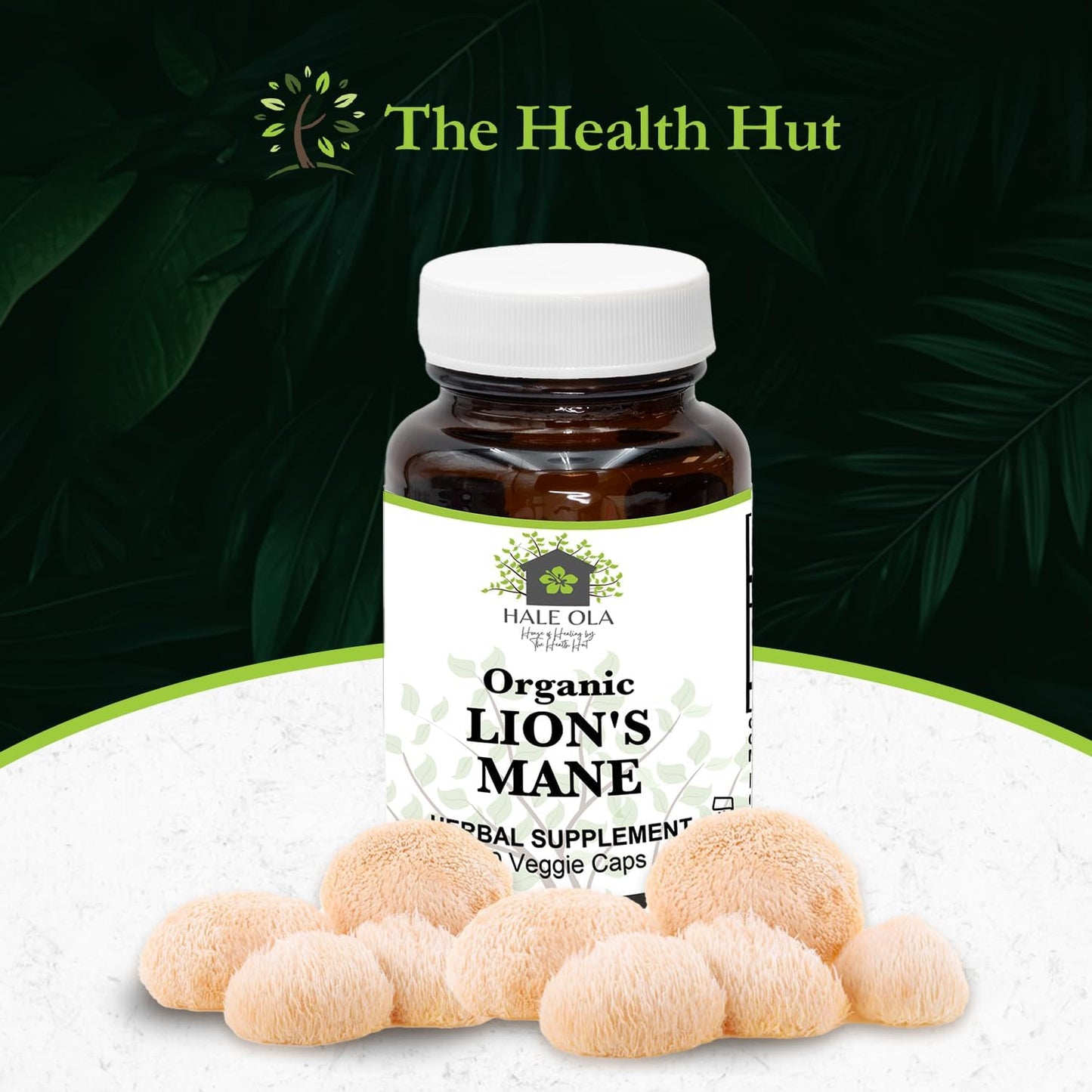 Non-GMO Kosher Lion's Mane Mushroom Capsules for Cognitive Function & Nerve Health