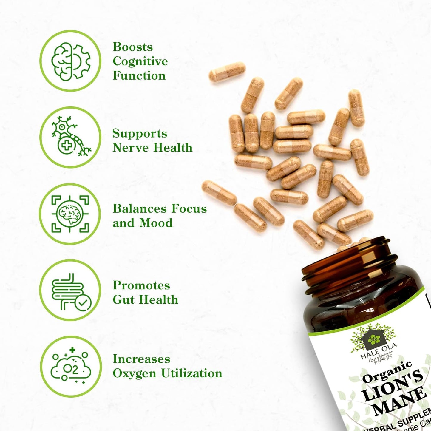 Non-GMO Kosher Lion's Mane Mushroom Capsules for Cognitive Function & Nerve Health