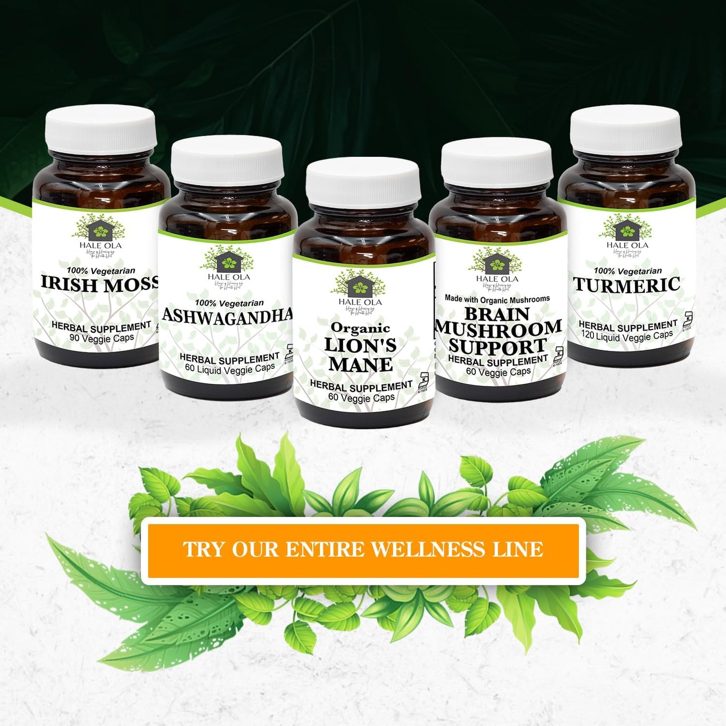 Non-GMO Kosher Lion's Mane Mushroom Capsules for Cognitive Function & Nerve Health