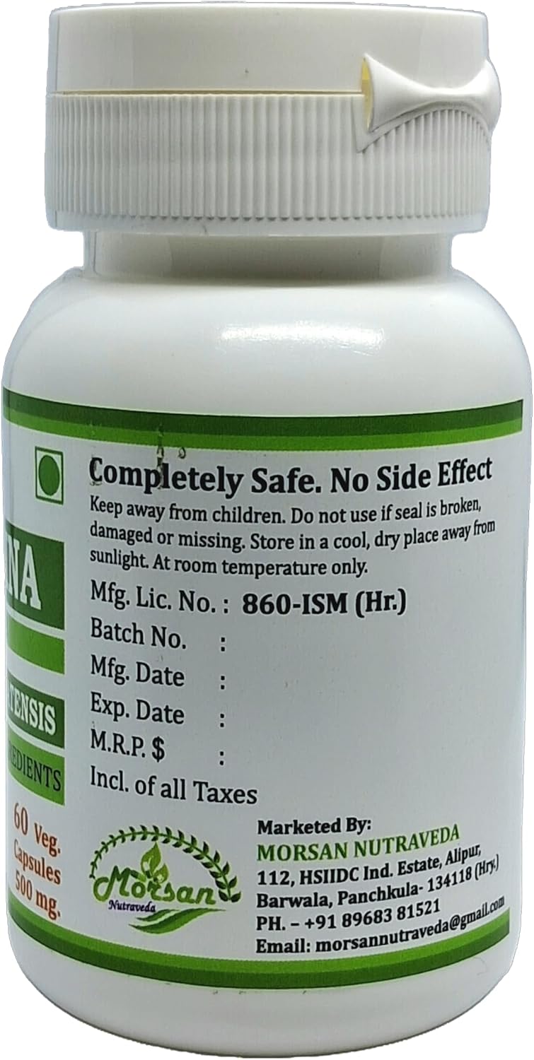 Nutraveda Spirulina Capsules - Premium Superfood Supplement for Men and Women - 500mg per Serving - 60 Veggie Capsules - Non-GMO & Gluten-Free - Pack of 240 Capsules