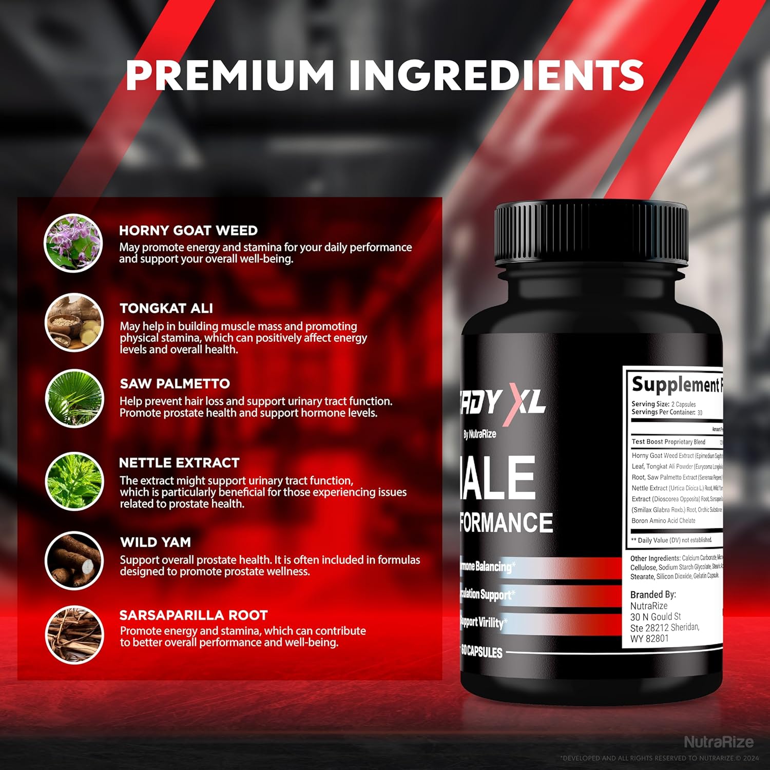 Official ReadyXL Male Capsules - Premium All-Natural Multivitamin Formula for Men's Health and Performance (60 Capsules)