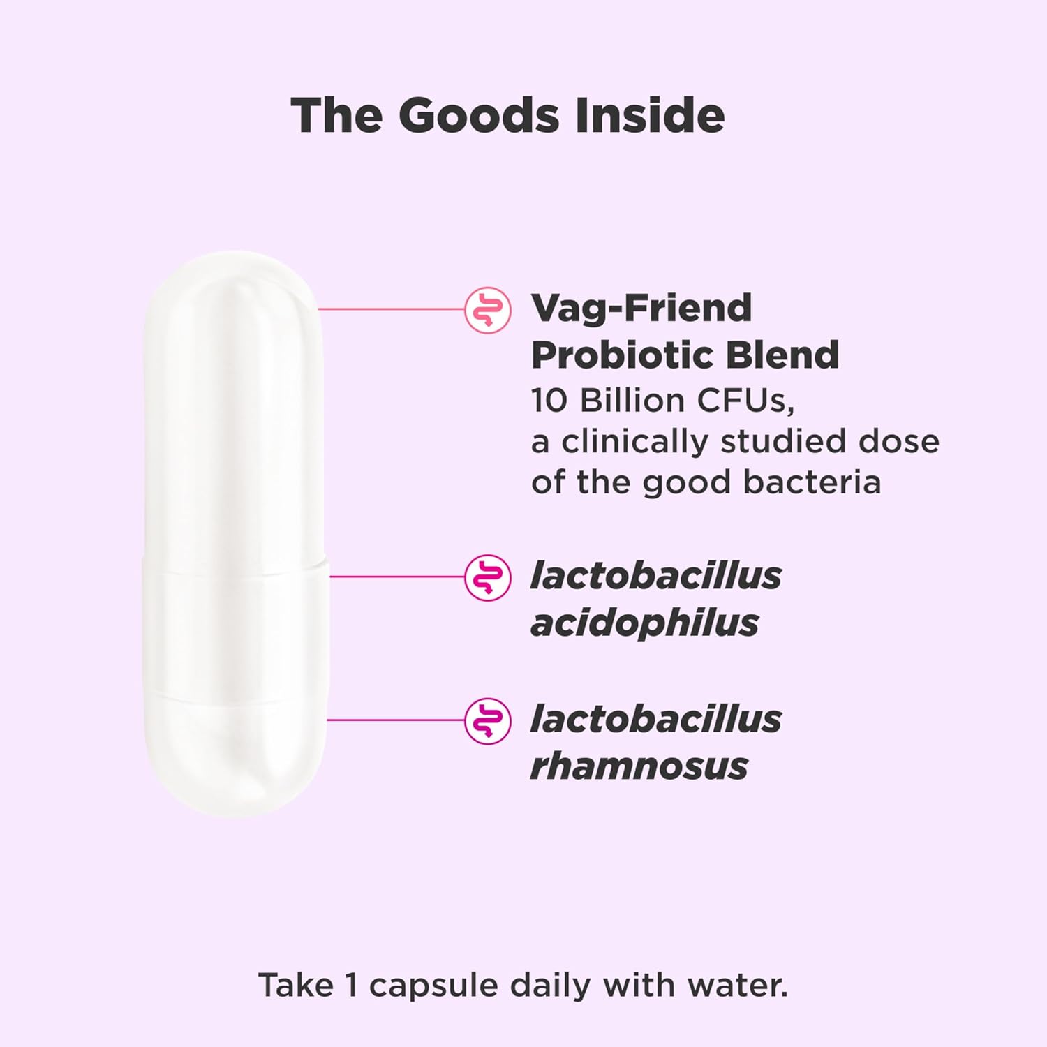OLLY Happy Hoo-Ha Probiotic & Metabolism Gummy Bundle for Women - 55 Capsules Total