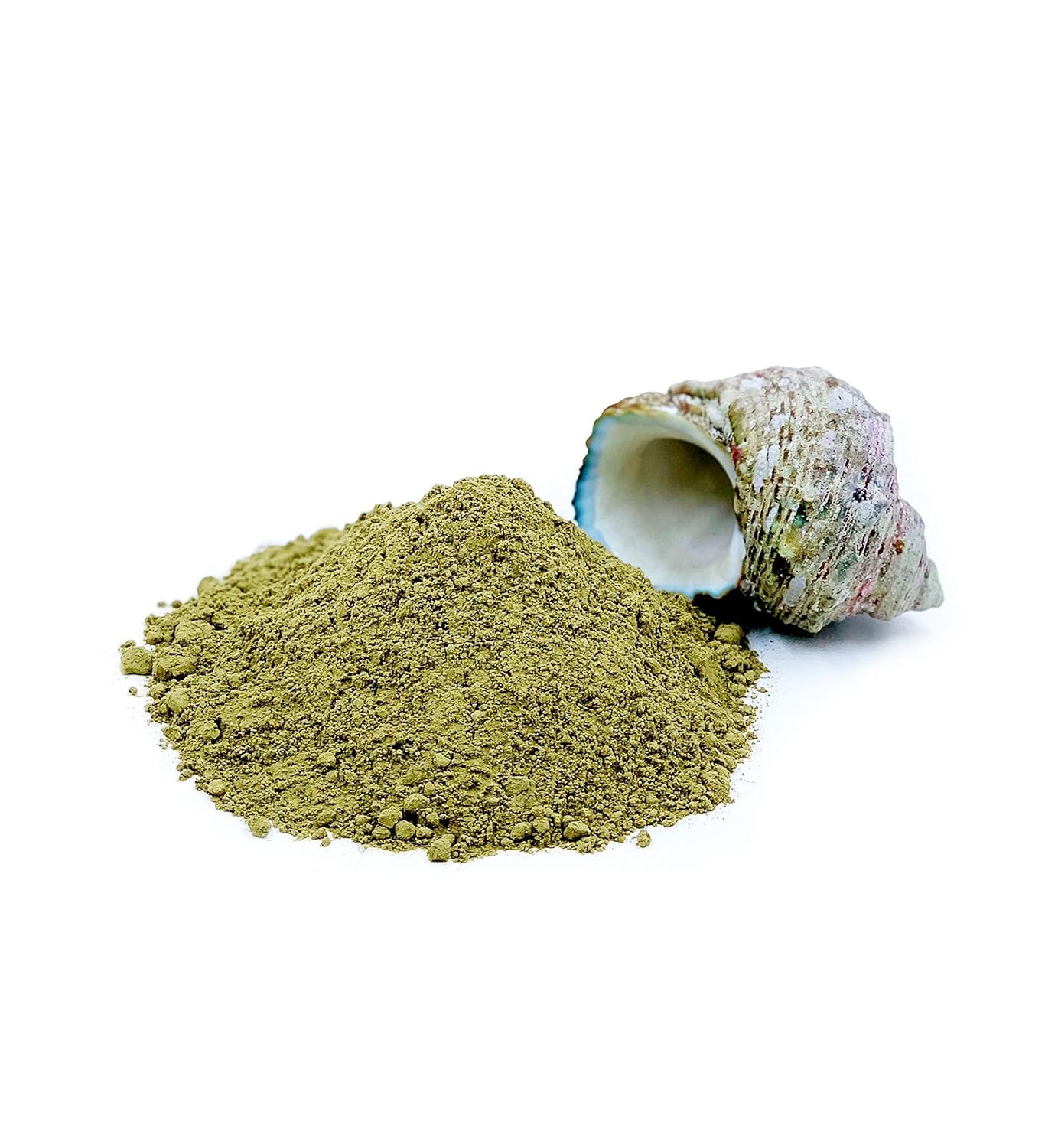 Organic 16 oz. Best Botanicals Bladderwrack Herb Powder - Premium Quality Supplement