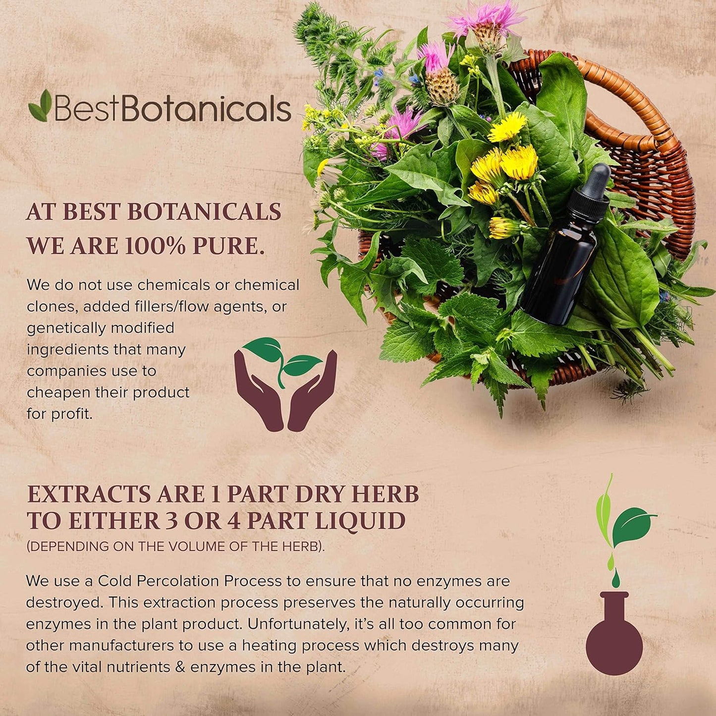Organic 16 oz. Best Botanicals Bladderwrack Herb Powder - Premium Quality Supplement