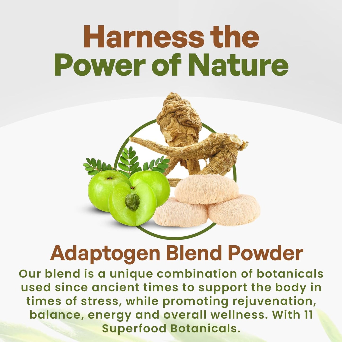 Organic Adaptogen Blend Superfood Powder with Maca, Ashwagandha, Ginseng, Rhodiola, Mushrooms - 8oz Smoothie Booster