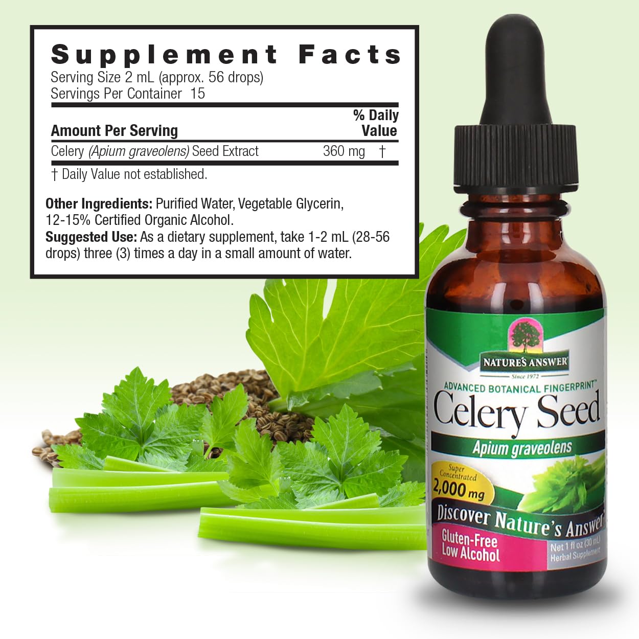 Organic Alcohol Celery Seed Extract 2000mg 1oz | Antioxidant-Rich | Supports Joint Health | Urinary Tract Aid | Single Dose