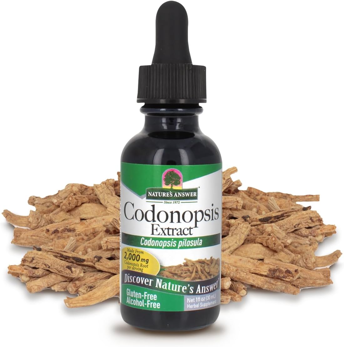 Organic Alcohol-Free Codonopsis Root Extract for Immune Support and Natural Energy Boost - 1 fl oz