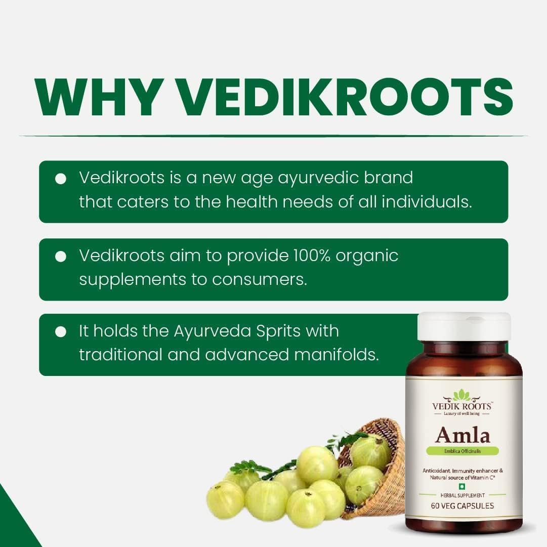 Organic Amla Capsules 60 Count - Natural Antioxidant and Immunity Booster with Vitamin C - Hair Growth Herbal Supplements (Pack of 2)