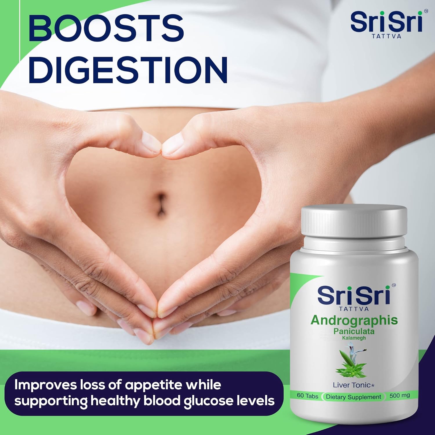 Organic Andrographis Paniculata Supplements - 60 Tablets for Respiratory Wellness & Immune Strength - 500 mg Herbal Tablets by SRI SRI TATTVA