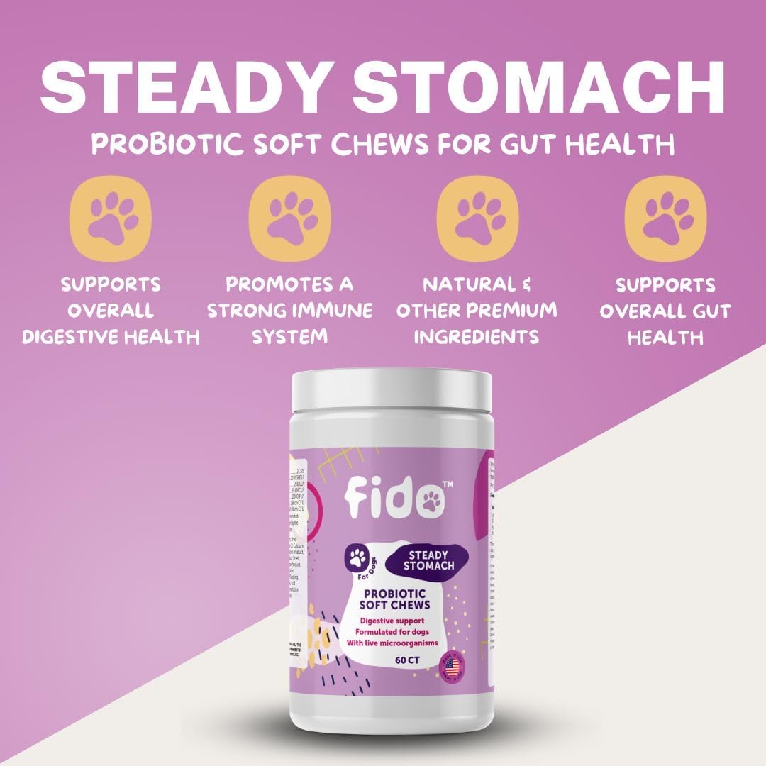 Organic Chicken Flavored Probiotic Soft Chews for Dogs | 60 Chews for Gut Health | Supports Sensitive Stomachs | Veterinarian Approved
