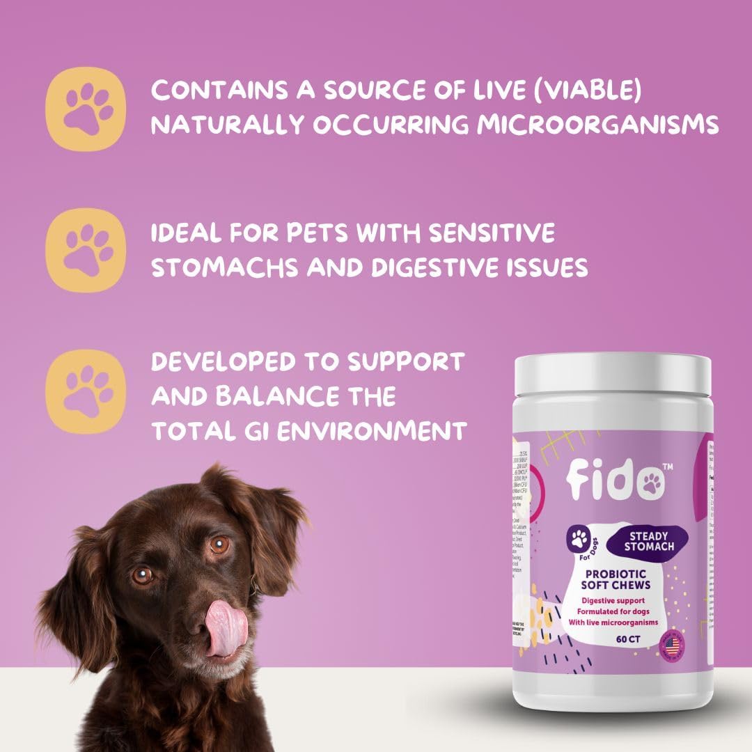 Organic Chicken Flavored Probiotic Soft Chews for Dogs | 60 Chews for Gut Health | Supports Sensitive Stomachs | Veterinarian Approved