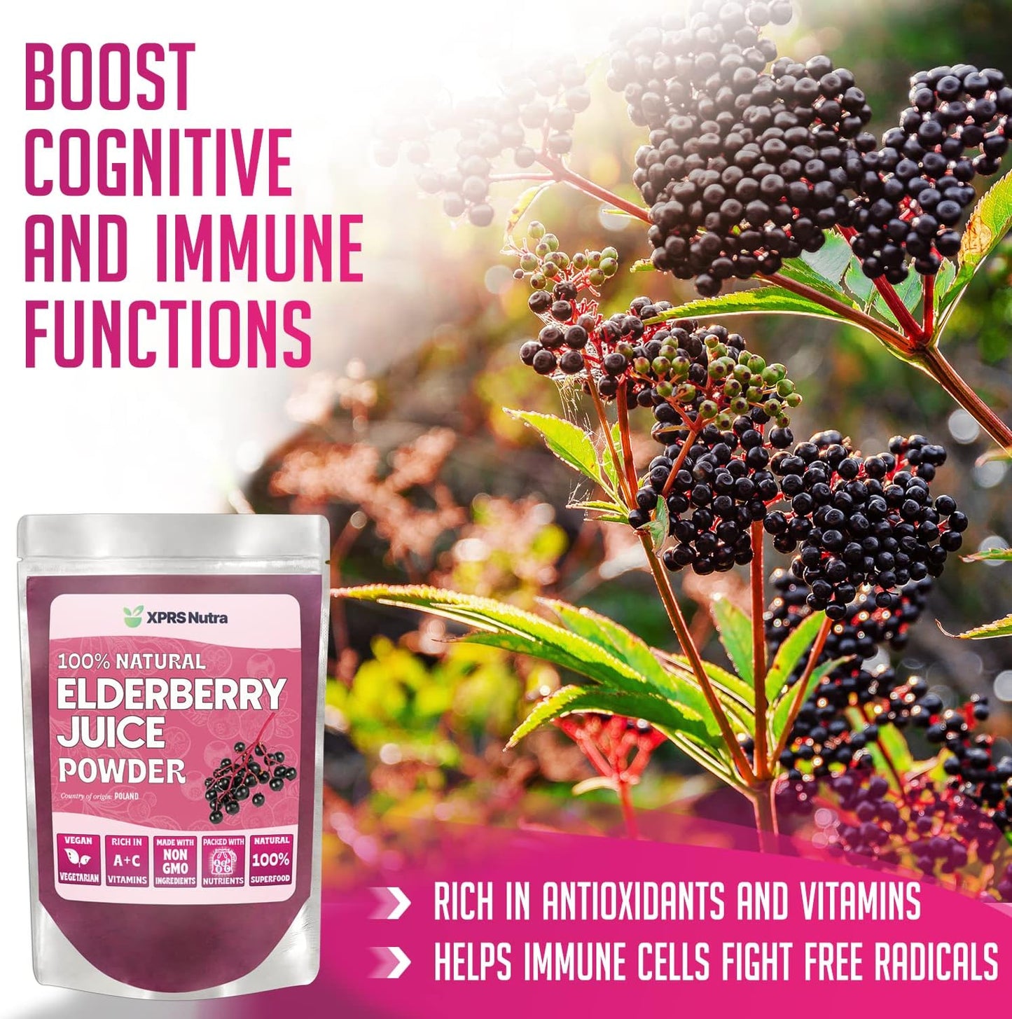 Organic Elderberry Juice Powder with Vitamins A and C - 16 oz Powdered Elderberries Supplement by XPRS Nutra