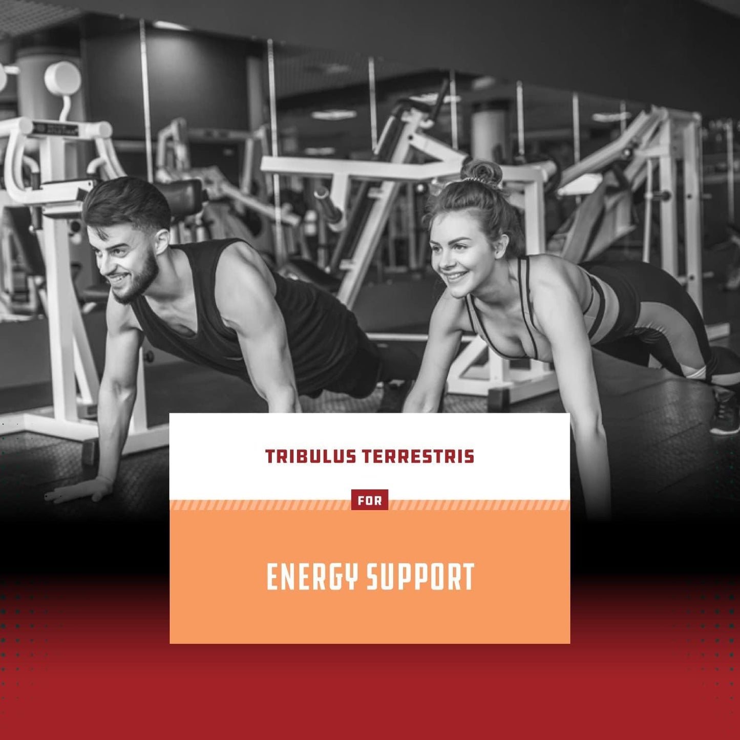 Organic Energy Boost Bundle: Tribulus Terrestris Extract for Muscle Growth + Saw Palmetto Extract for Hair Health & Urinary Support - Plant Sterols Included