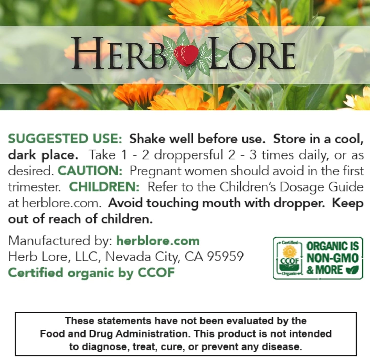 Organic Fennel Tincture for Digestive Support & Breastfeeding - Herb Lore (4 fl oz)