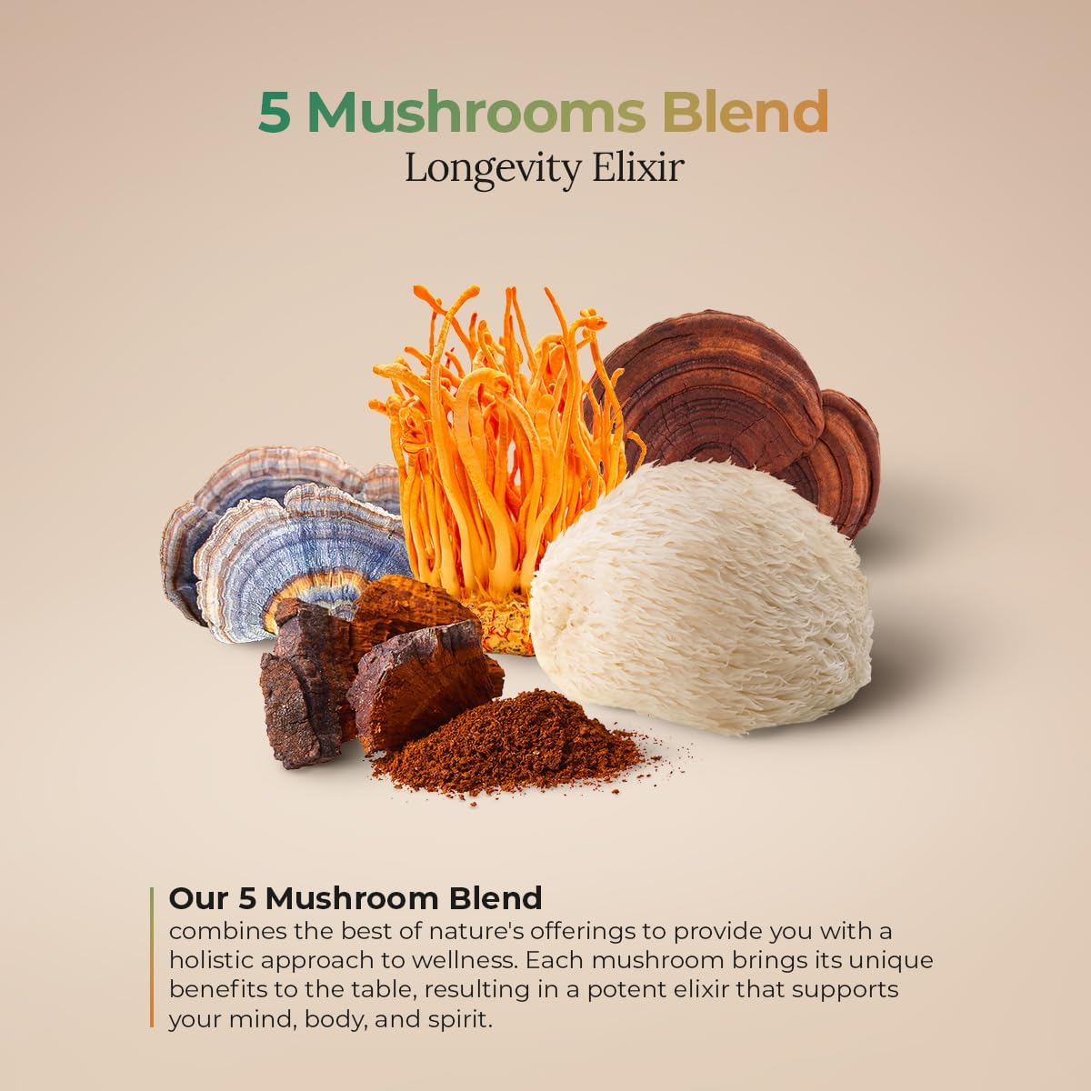 Organic Healing Mushrooms Powder Blend with Lions Mane, Reishi, Cordyceps, Turkey Tail, Chaga - 100g