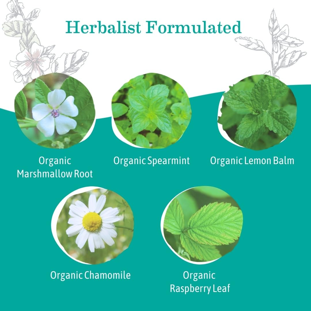 Organic Heartburn Tea for Pregnancy with Marshmallow Root & Lemon Balm - 16 Teabags/Box (6-Pack)