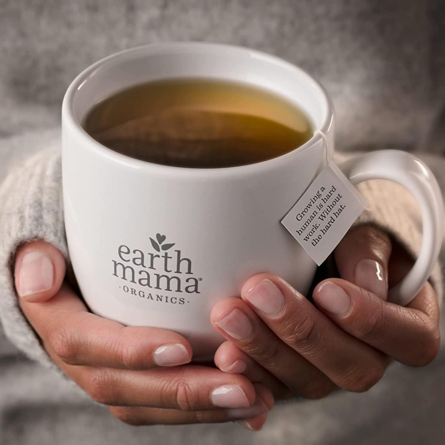Organic Heartburn Tea for Pregnancy with Marshmallow Root & Lemon Balm - 16 Teabags/Box (6-Pack)