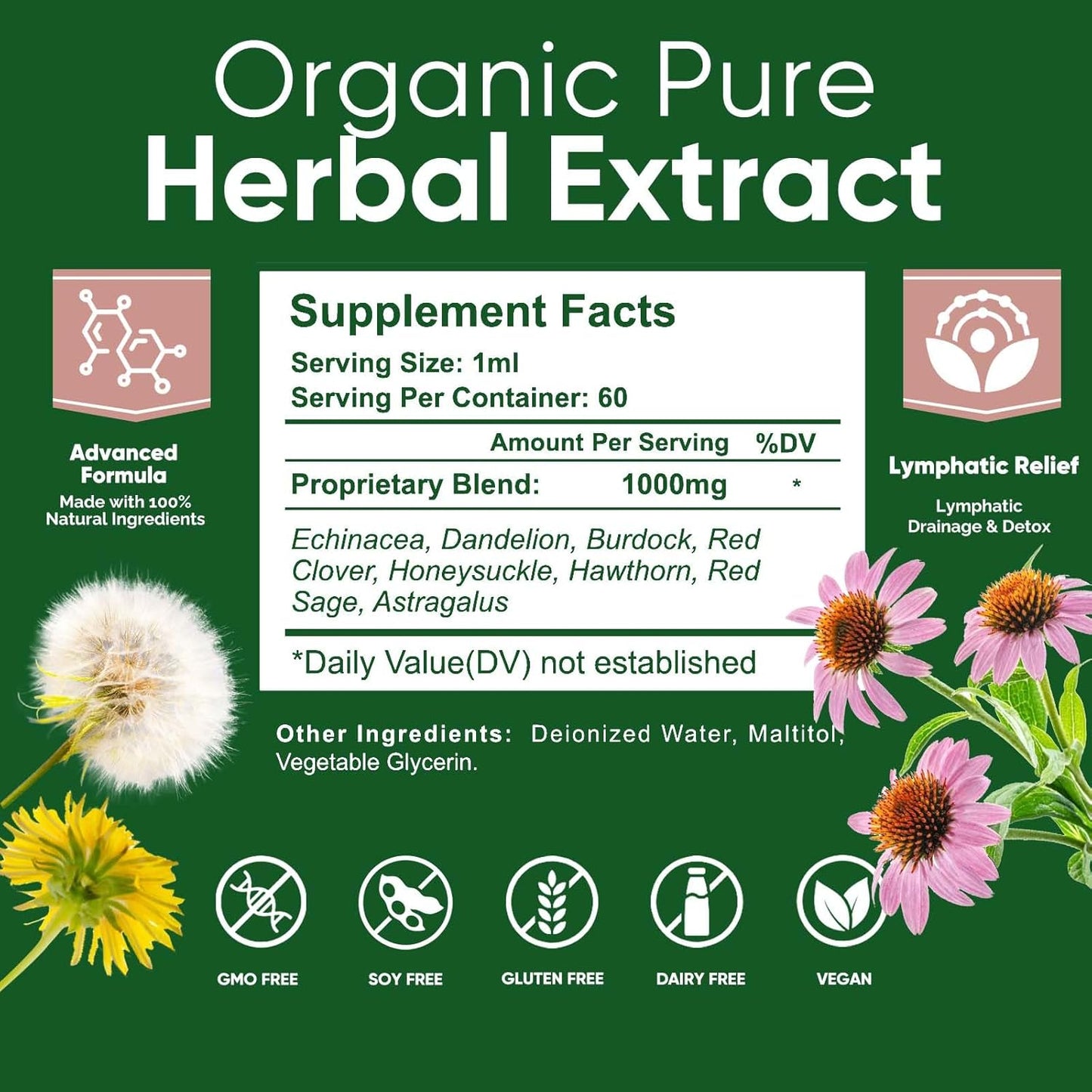 Organic Lymphatic Drainage Drops with Echinacea & Red Clover Extract - Vegan, Alcohol and Sugar-Free (30 Servings)