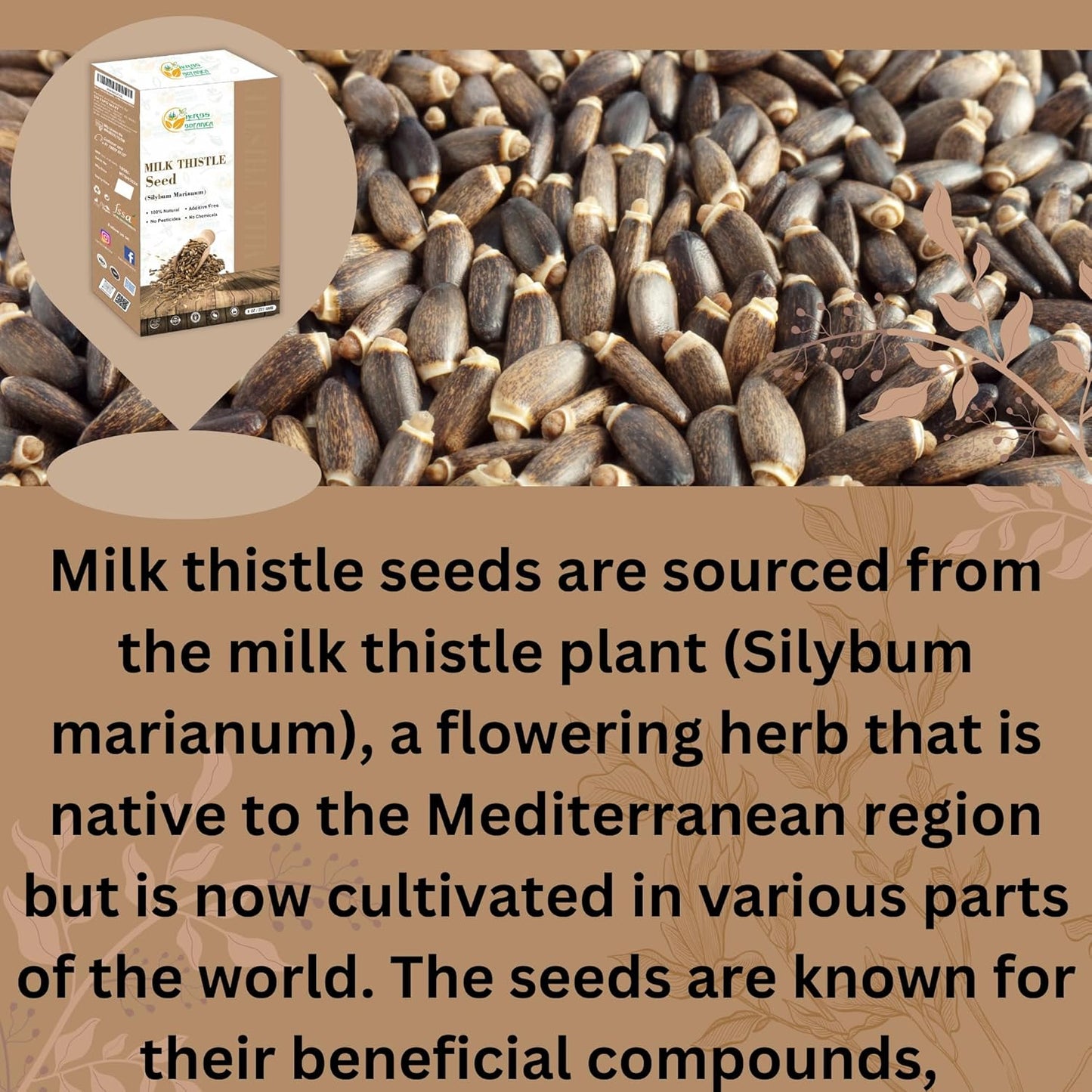 Organic Milk Thistle Seeds for Wellness - Traditional Ayurvedic Herbal Supplement - 1/2 lb (8 oz)