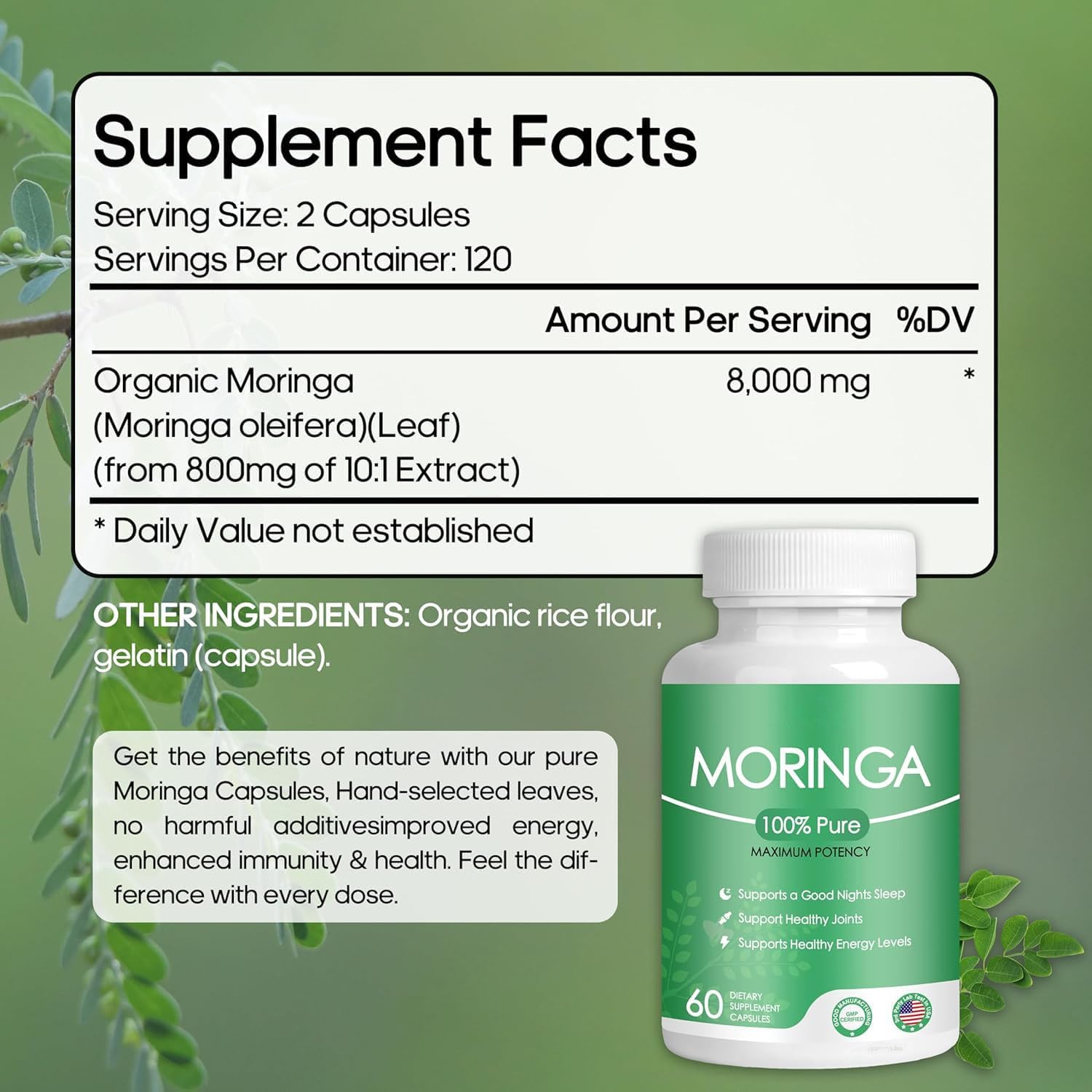 Organic Moringa Capsules: 800mg Pure Powder Superfood for Energy - 60 Capsules