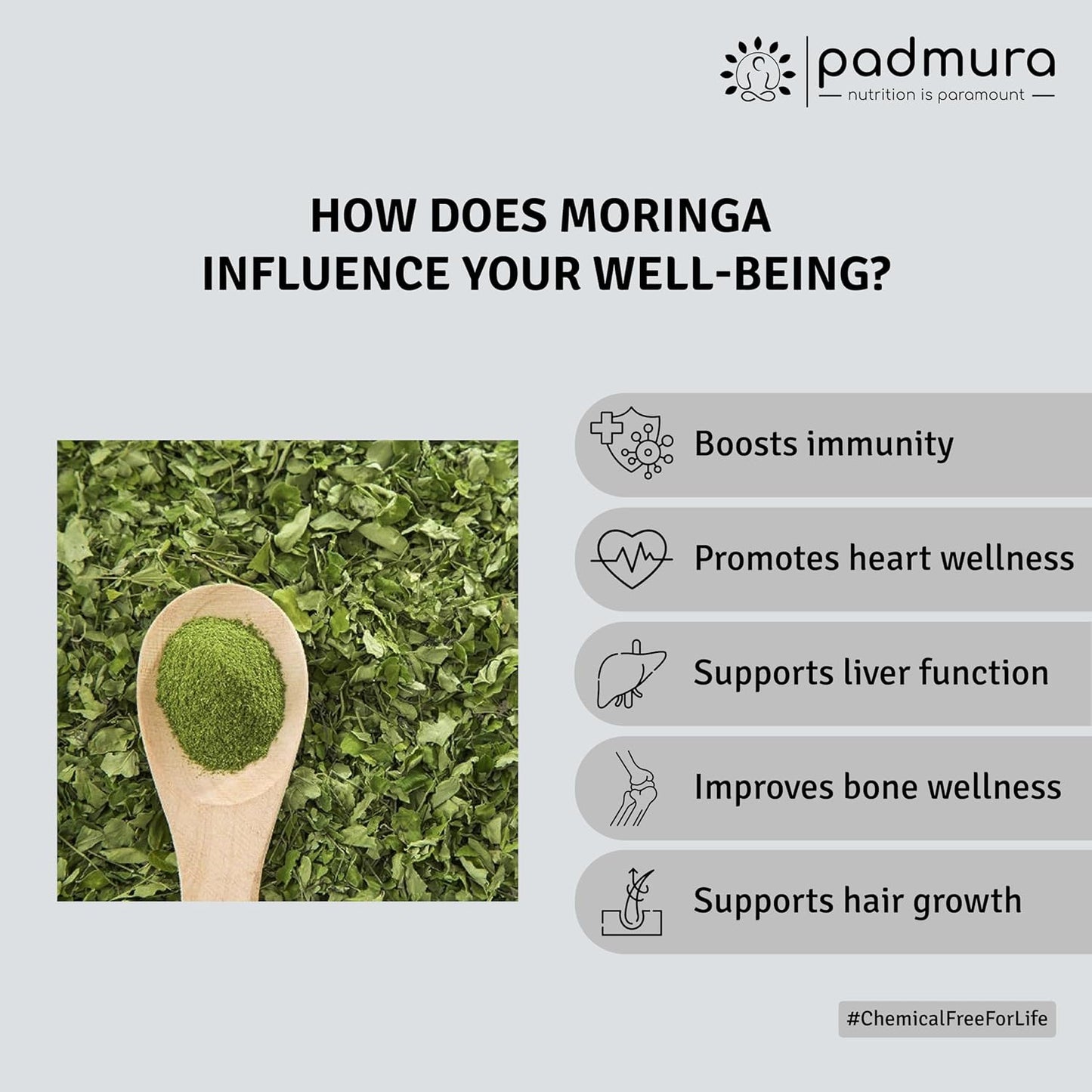 Organic Moringa Powder 16 OZ - 1 LB | USDA Certified Organic Moringa Oleifera Leaf Powder | Non-GMO Superfood | Kosher, Gluten Free, Vegan