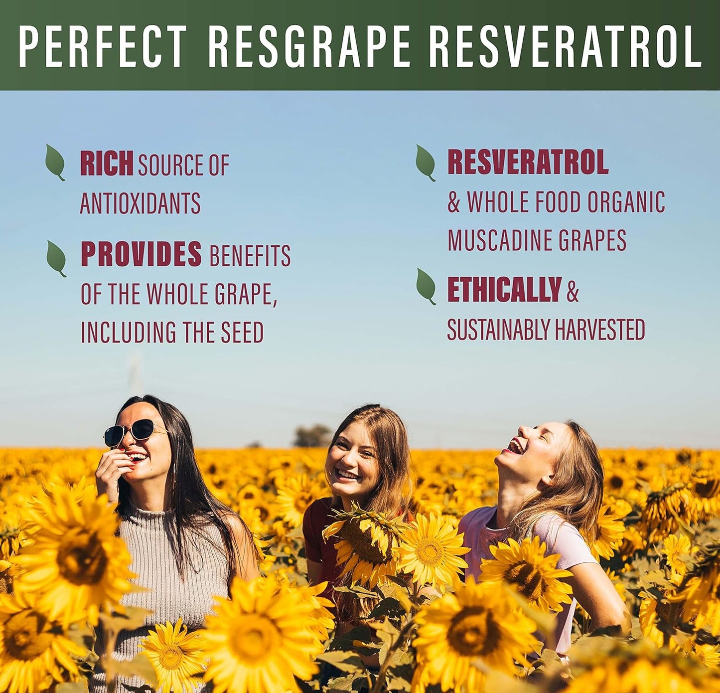 Organic Muscadine Grapes Resveratrol Capsules - 60 Count x 2 - Trans-Resveratrol Supplement by Perfect Supplements