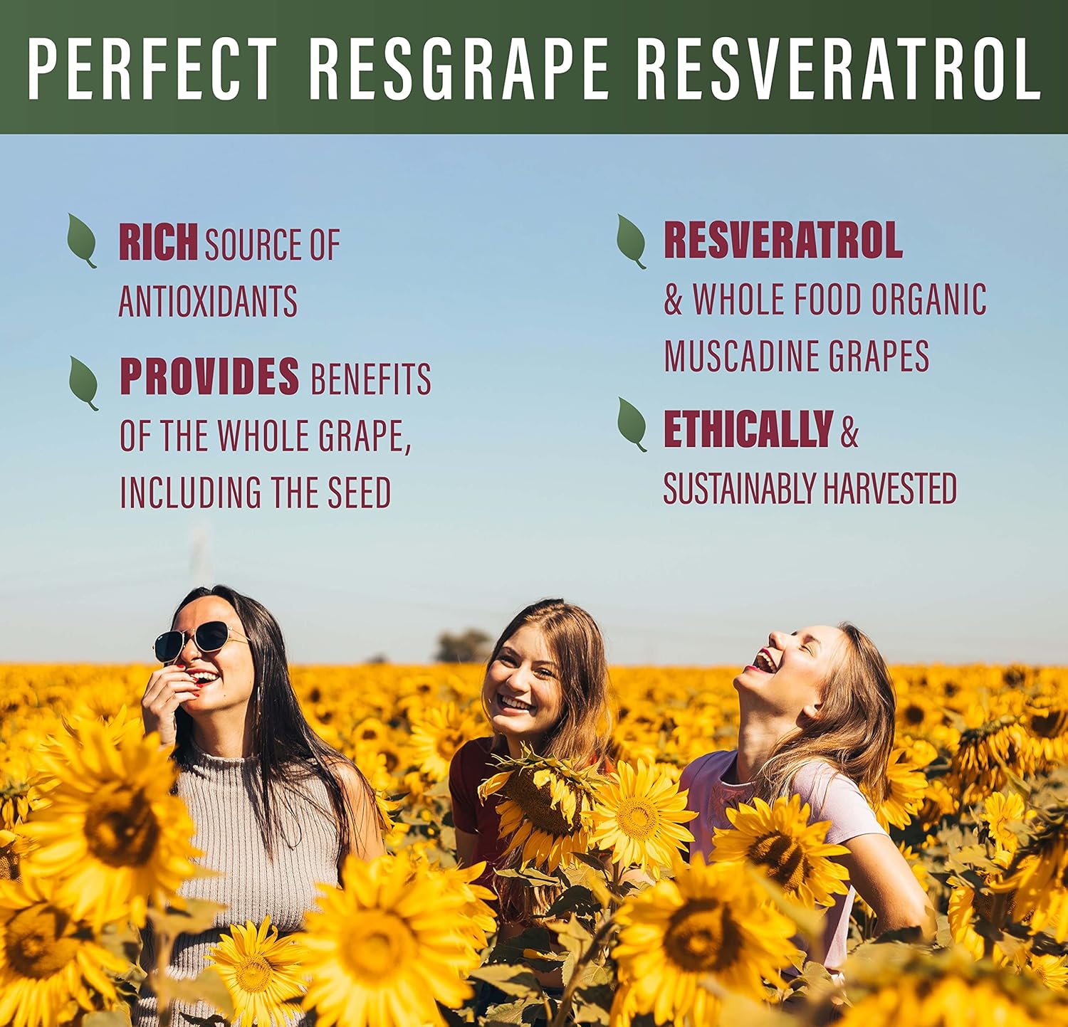 Organic Muscadine Grapes Resveratrol Capsules - 60 Count x 2 - Trans-Resveratrol Supplement by Perfect Supplements