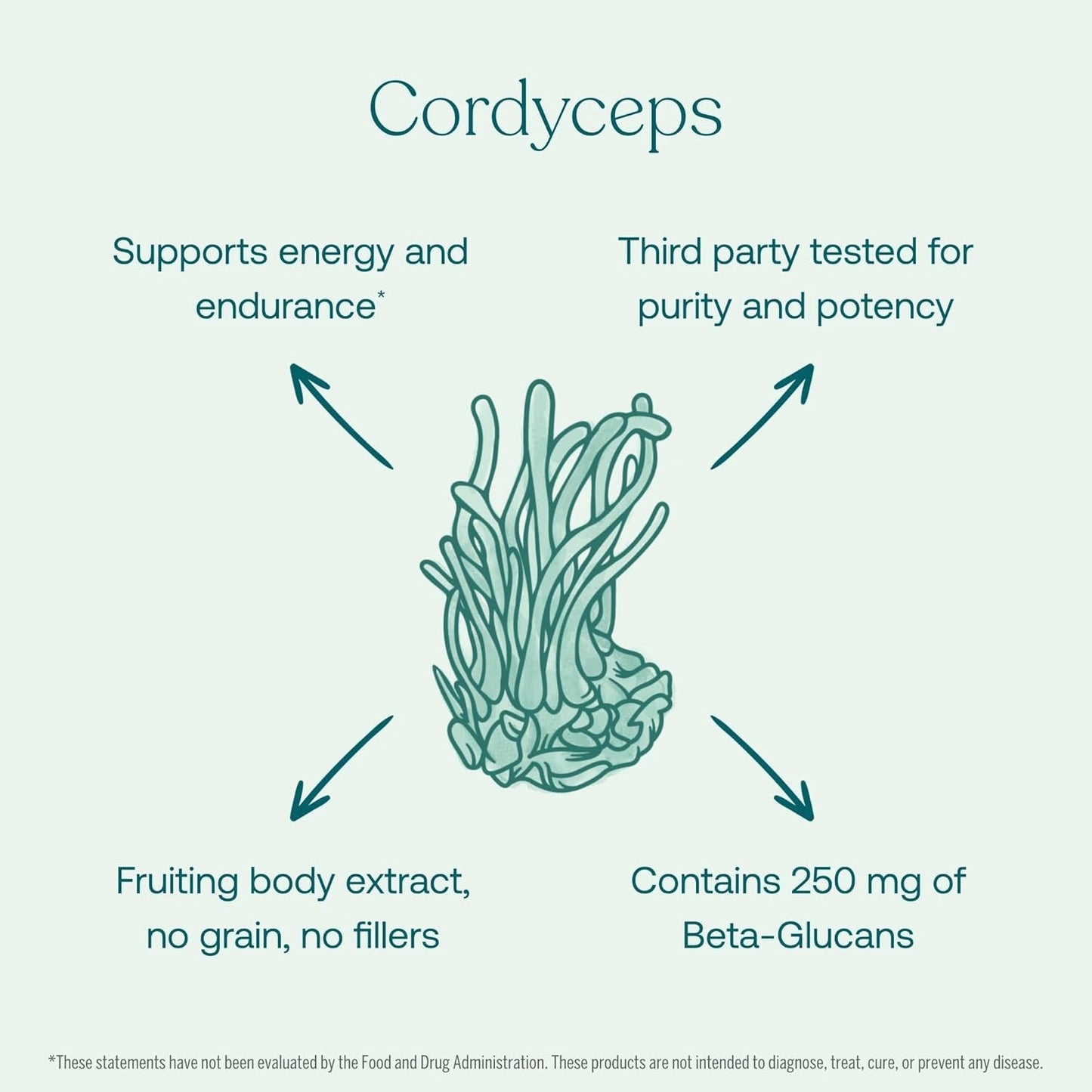 Organic Mushroom Cordyceps Capsules for Energy & Endurance - 120 Count - True Grace Formula