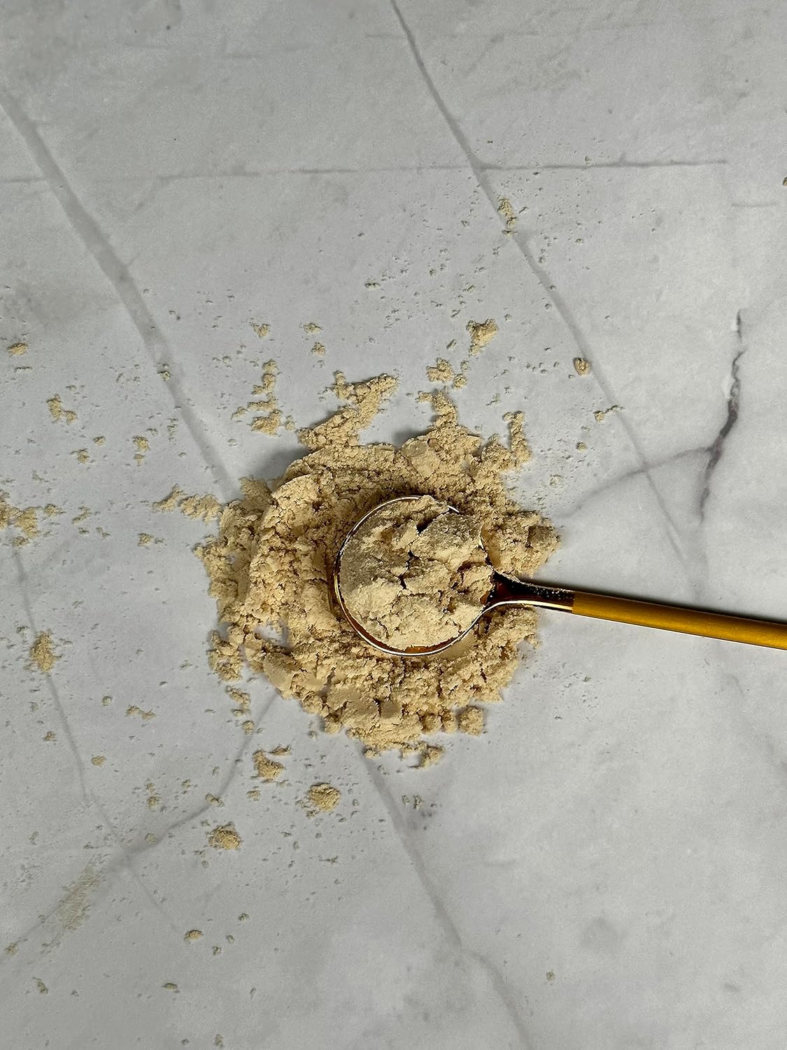 Organic Pea Protein Powder 16 oz - Pack of 5 | USDA Organic | Gluten Free | Non-GMO | Vegan | Plant-Based Protein Powder