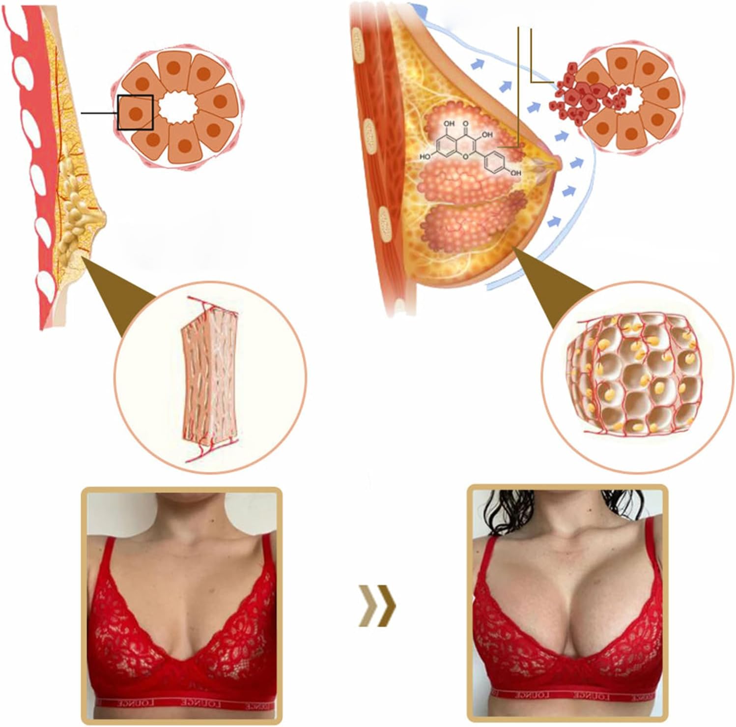 Organic Pueraria-Mirifica Papaya Juice Powder for Women - Everyday Chest Care - Concentrated Kudzu Root - 100% Natural - 10g Sachet, 10pcs Box