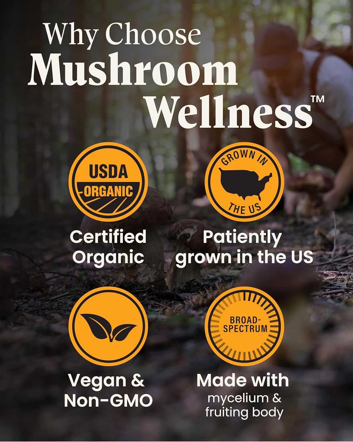 Organic Red Reishi Mushroom Capsules for Immune, Nervous System & Cardiovascular Support - 90 Vegan Capsules