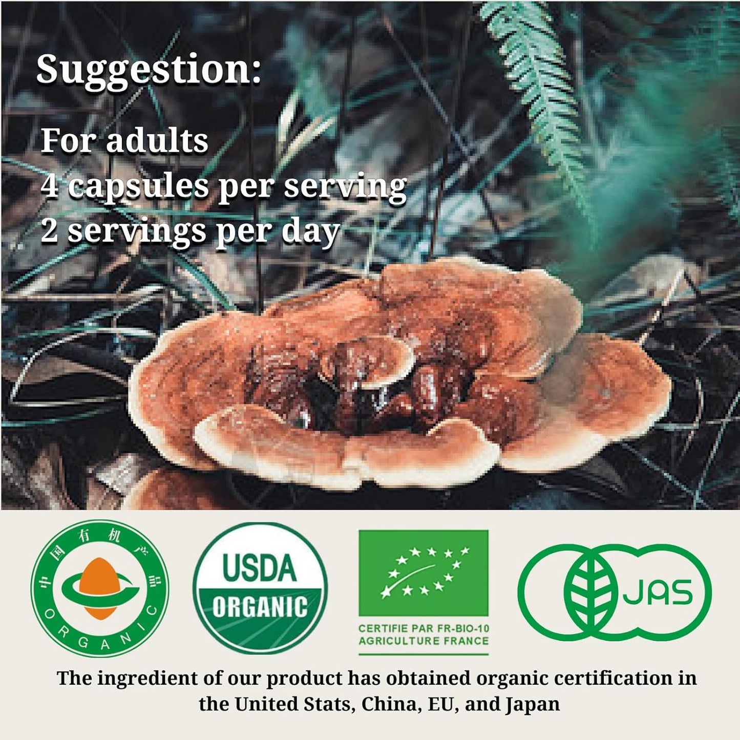 Organic Reishi Mushroom Capsules for Immune Support and Longevity - Vegan, Gluten-Free, Non-GMO Herbal Supplement - 120 Capsules, 1400 mg