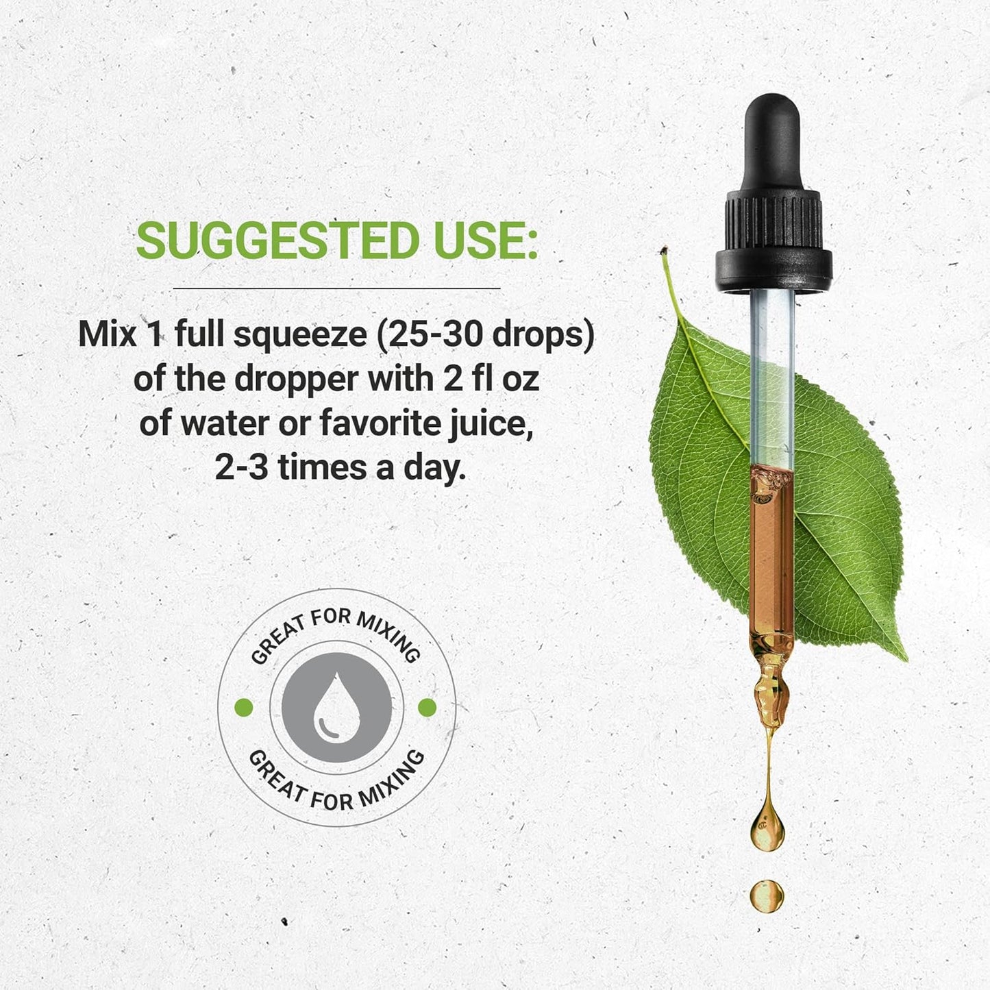 Organic Reishi Mushroom Herbal Drops | Alcohol-Free Extract, High-Potency Formula | Secrets of the Tribe (4 oz)