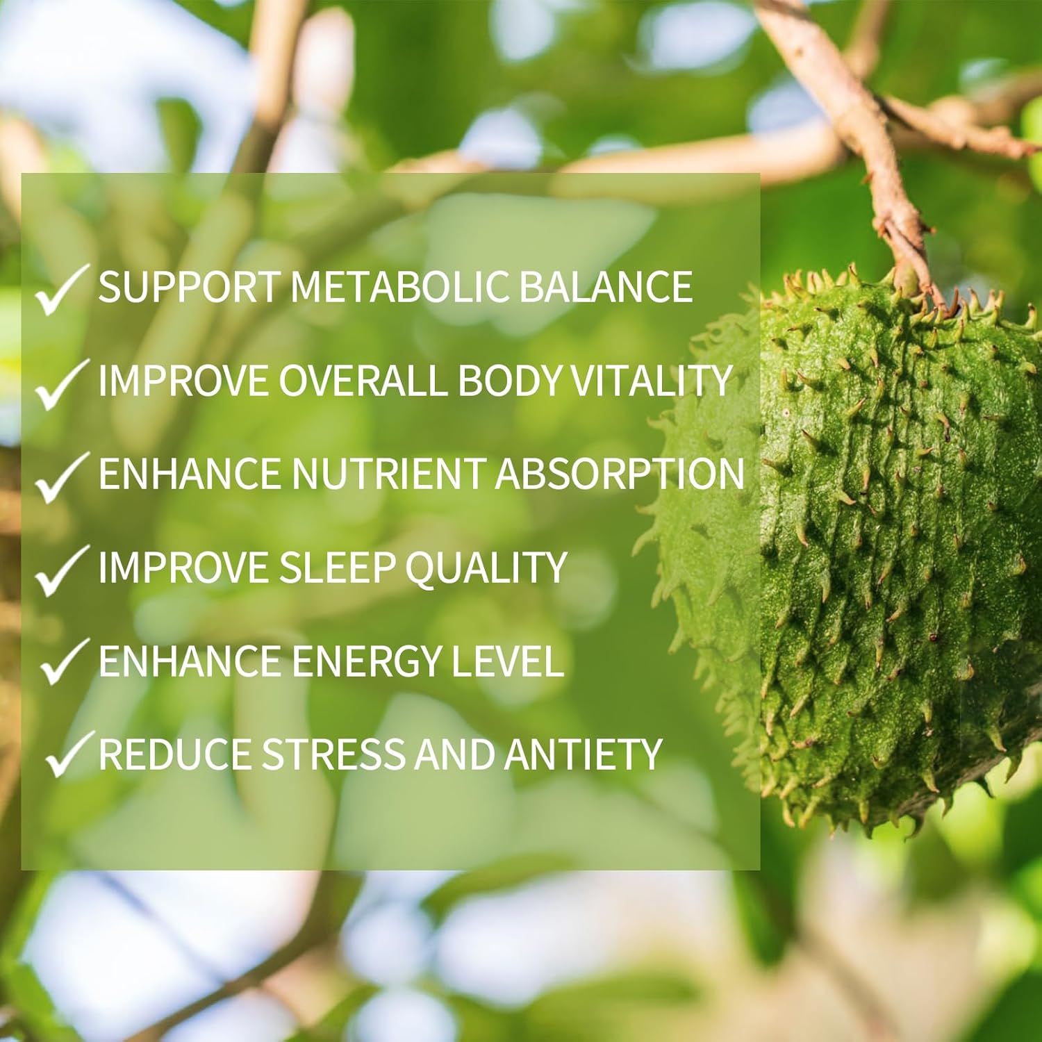 Organic Soursop Extract Liquid Drops 1800MG - Pure Soursop Leaf and Fruit Extract - 2 FL OZ Bottle - Sugar/Gluten Free