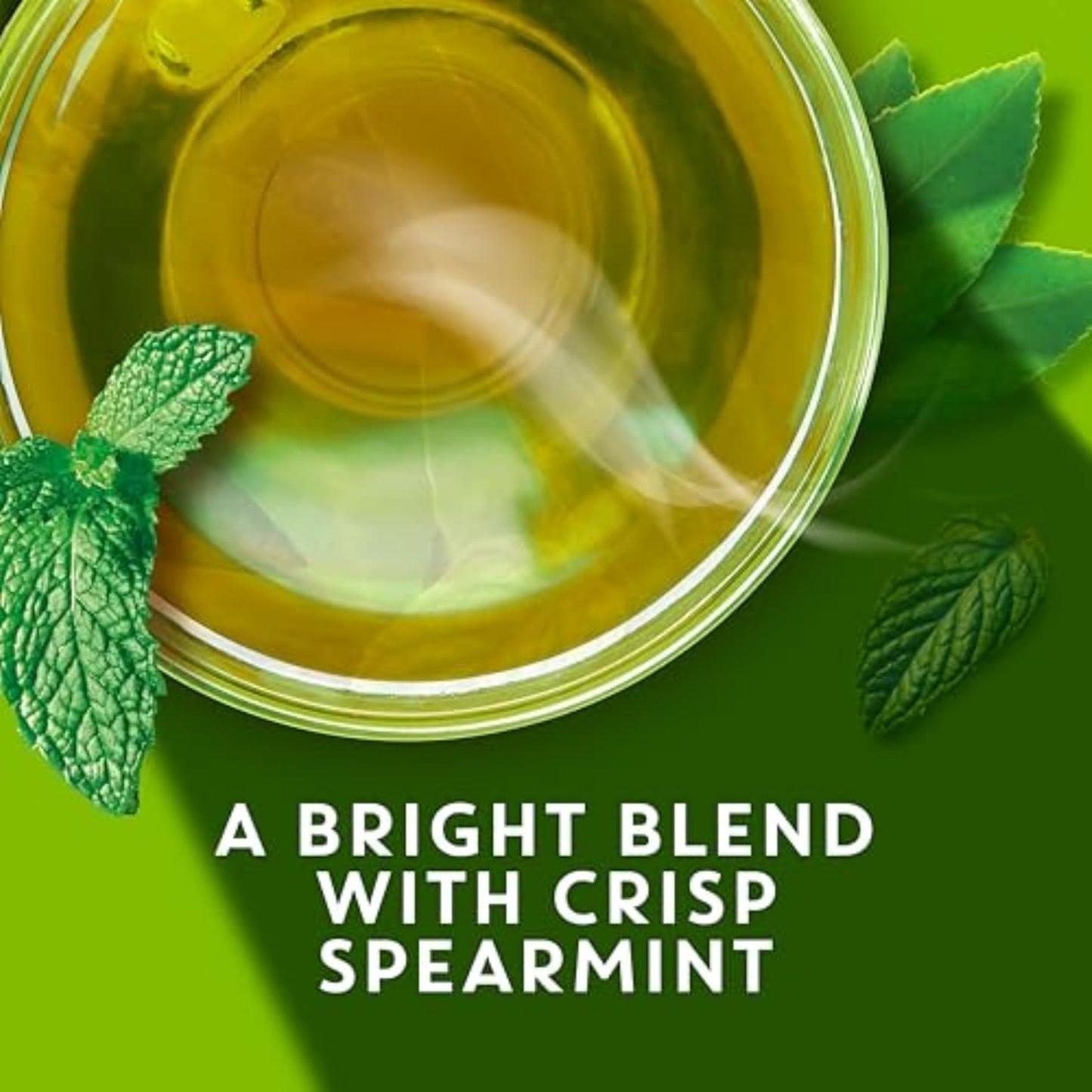 Organic TAZO Zen Green Tea with Lemongrass & Spearmint, 36 Bags