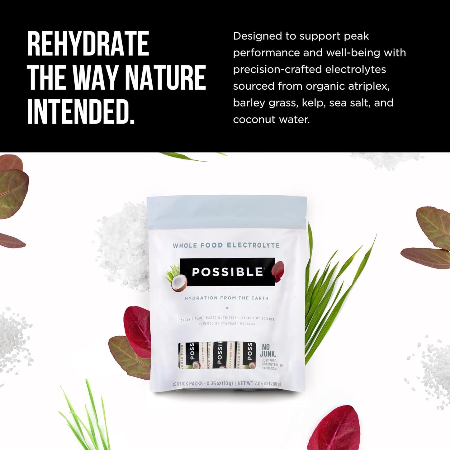 Organic Vegan Electrolyte Powder Mix for Pre & Post-Workout Hydration - Plant-Based, Gluten-Free, Clean Label - 20 Packets