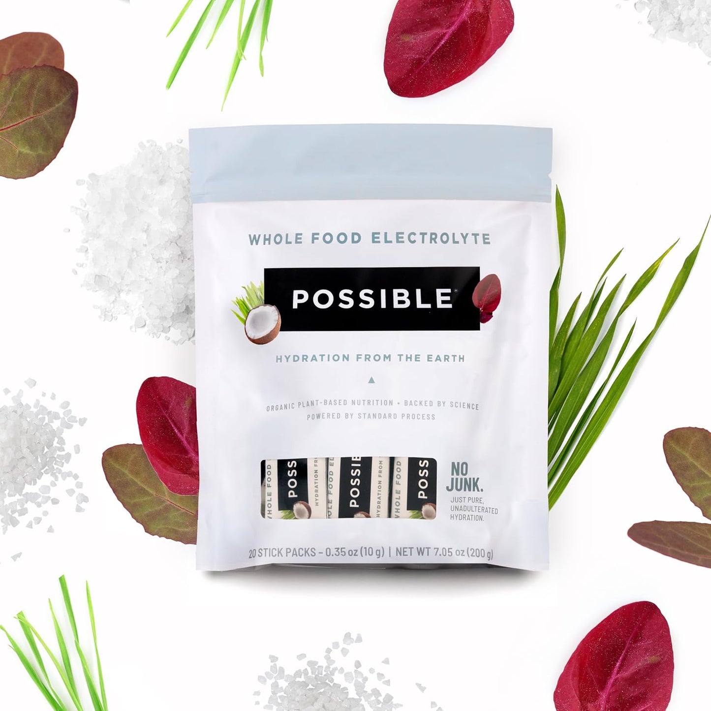 Organic Vegan Electrolyte Powder Mix for Pre & Post-Workout Hydration - Plant-Based, Gluten-Free, Clean Label - 20 Packets
