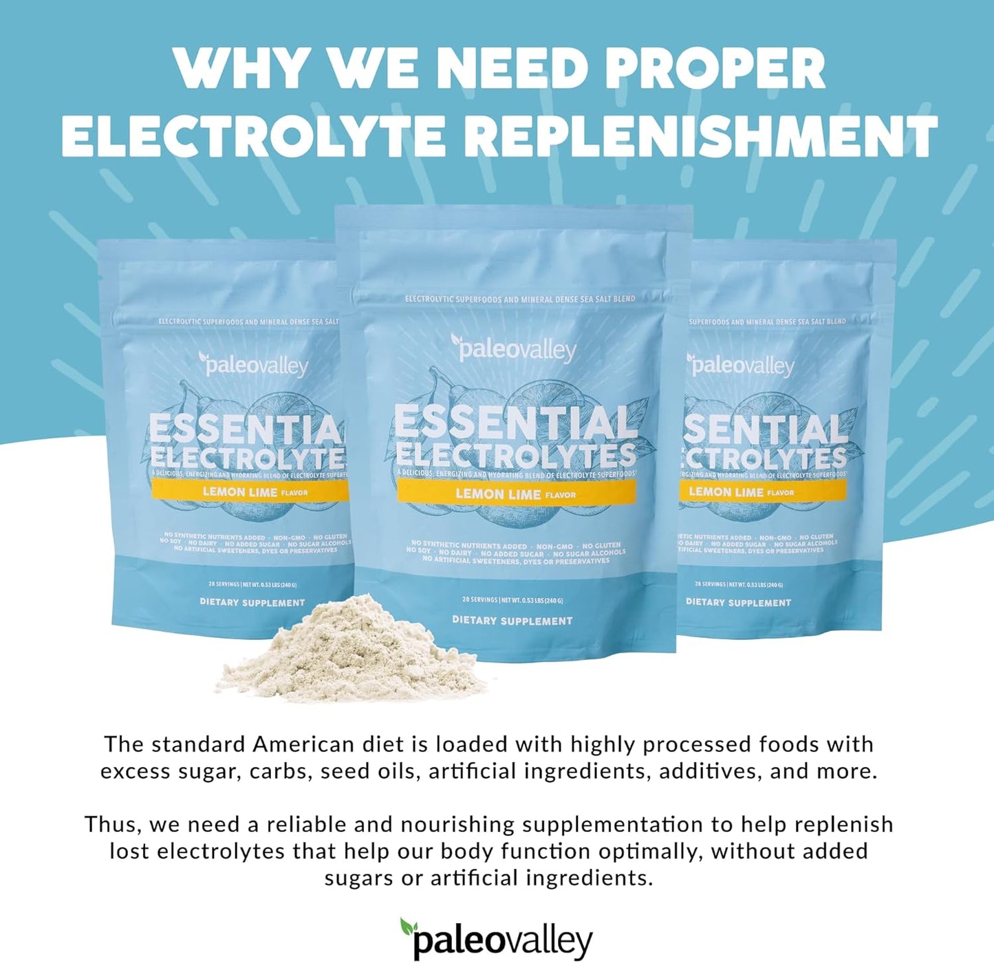 Paleovalley Lemon Lime Electrolyte Powder - Hydration, Energy, Muscle Recovery - No Added Sugar - 28 Servings