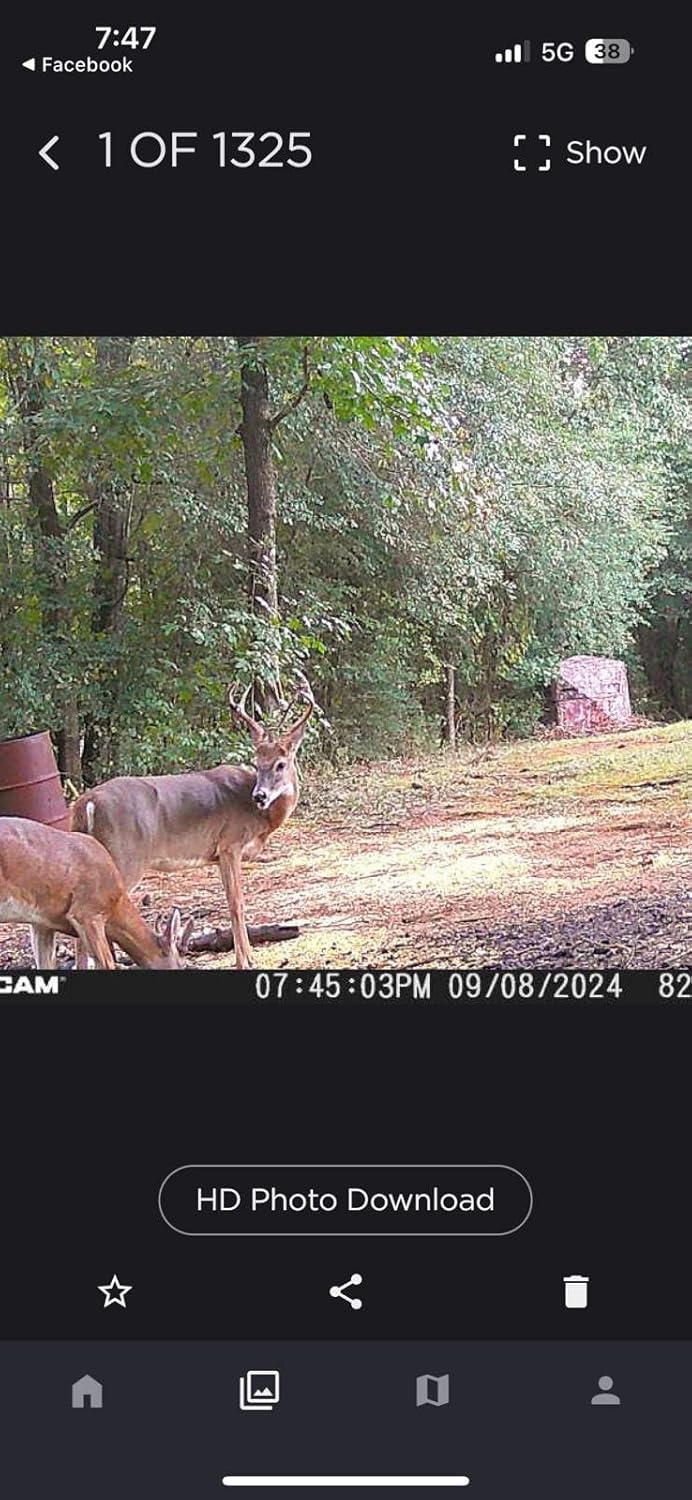 Peanut Power Roasted Peanut Oil Deer Feed Additive for Big Game Hunting - Antler Boost Attractant and Cover Scent