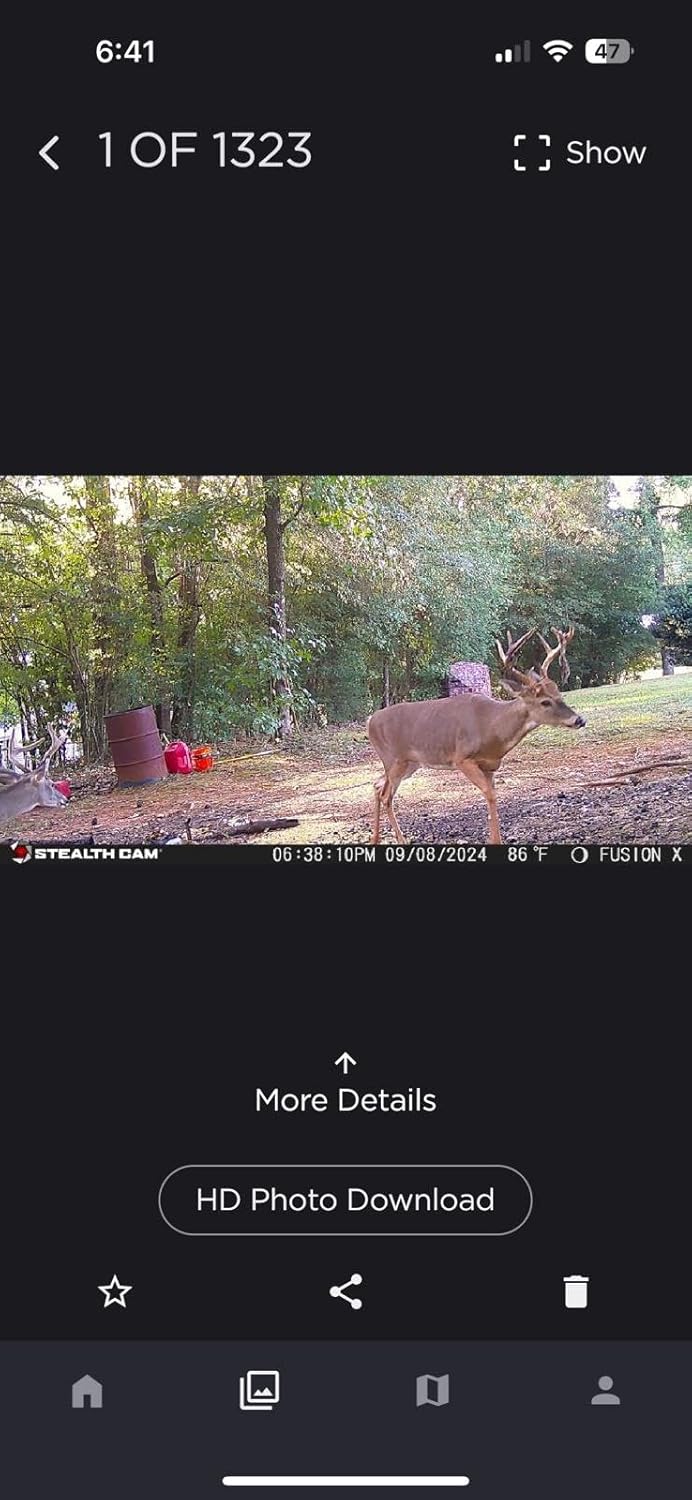 Peanut Power Roasted Peanut Oil Deer Feed Additive for Big Game Hunting - Antler Boost Attractant and Cover Scent