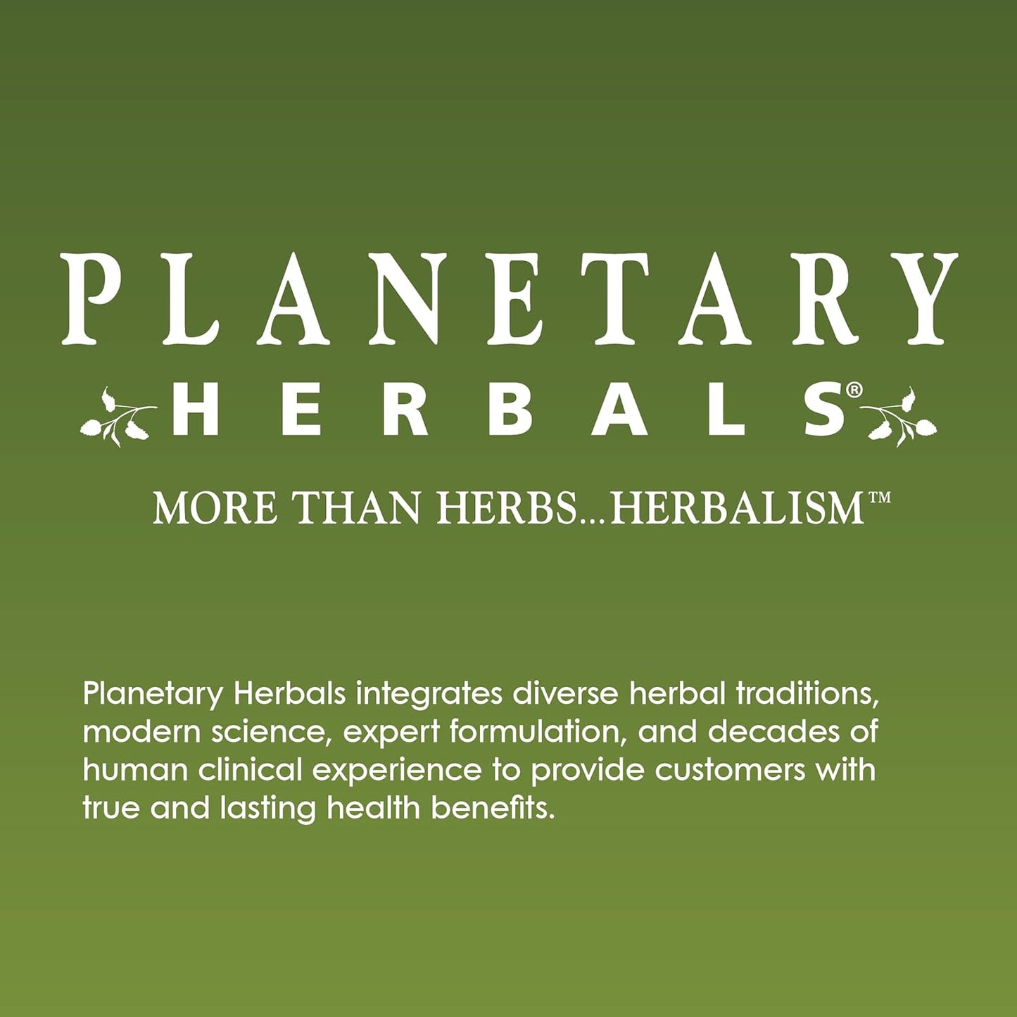 Planetary Herbals Lemon Balm Full Spectrum 500mg Capsules - Natural Calm & Rest Support