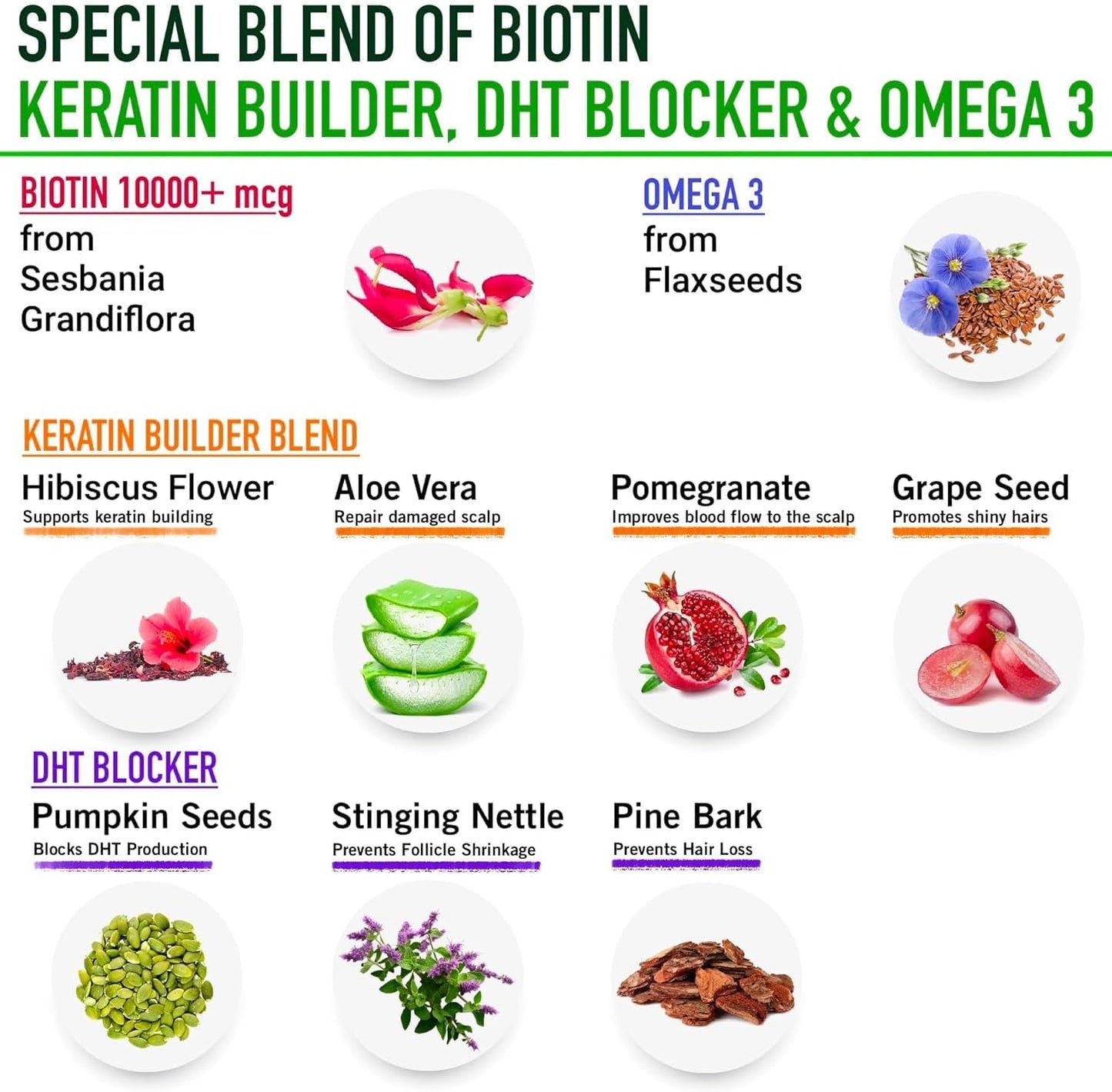 Plant Based Biotin 10000mcg with DHT Blocker, Keratin & Omega 3 - Hair Growth Supplement for Men & Women - Ayurvedic Nutrients - 60 Capsules