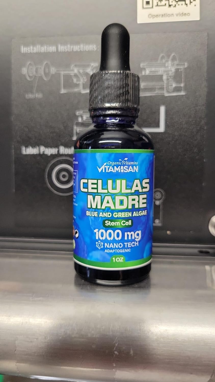 Plant-Based Stem Cell Support Blend with Cordyceps, Rhodiola Rosea, Astragalus, and More - 1000mg Natural Formula with B Complex - VITAMISAN Celulas Madres