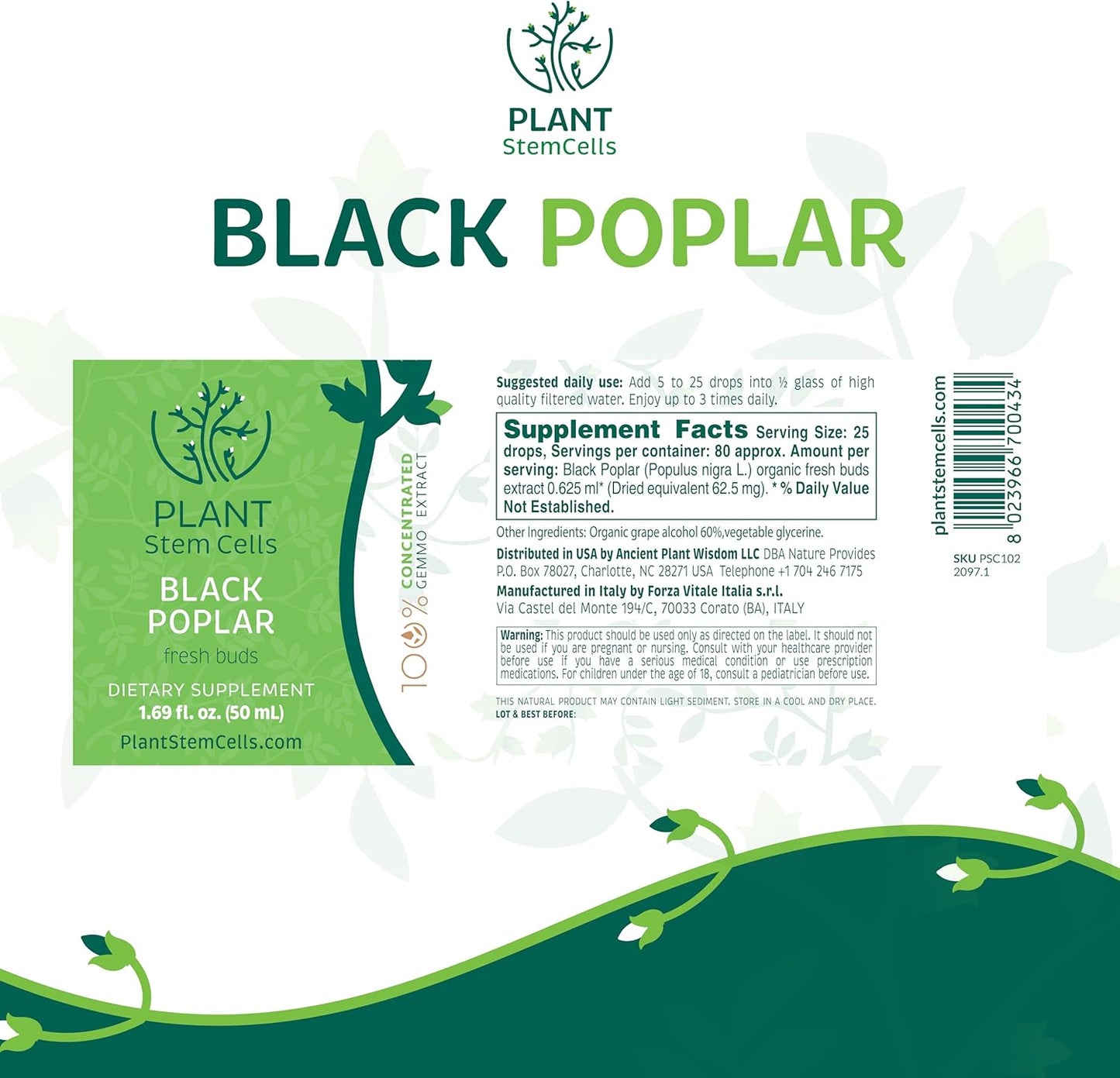 Plant Stem Cells Gemmotherapy: Black Poplar for Digestive & Circulatory Health - Antioxidant & Detox Support for Men & Women - Immunity Boost