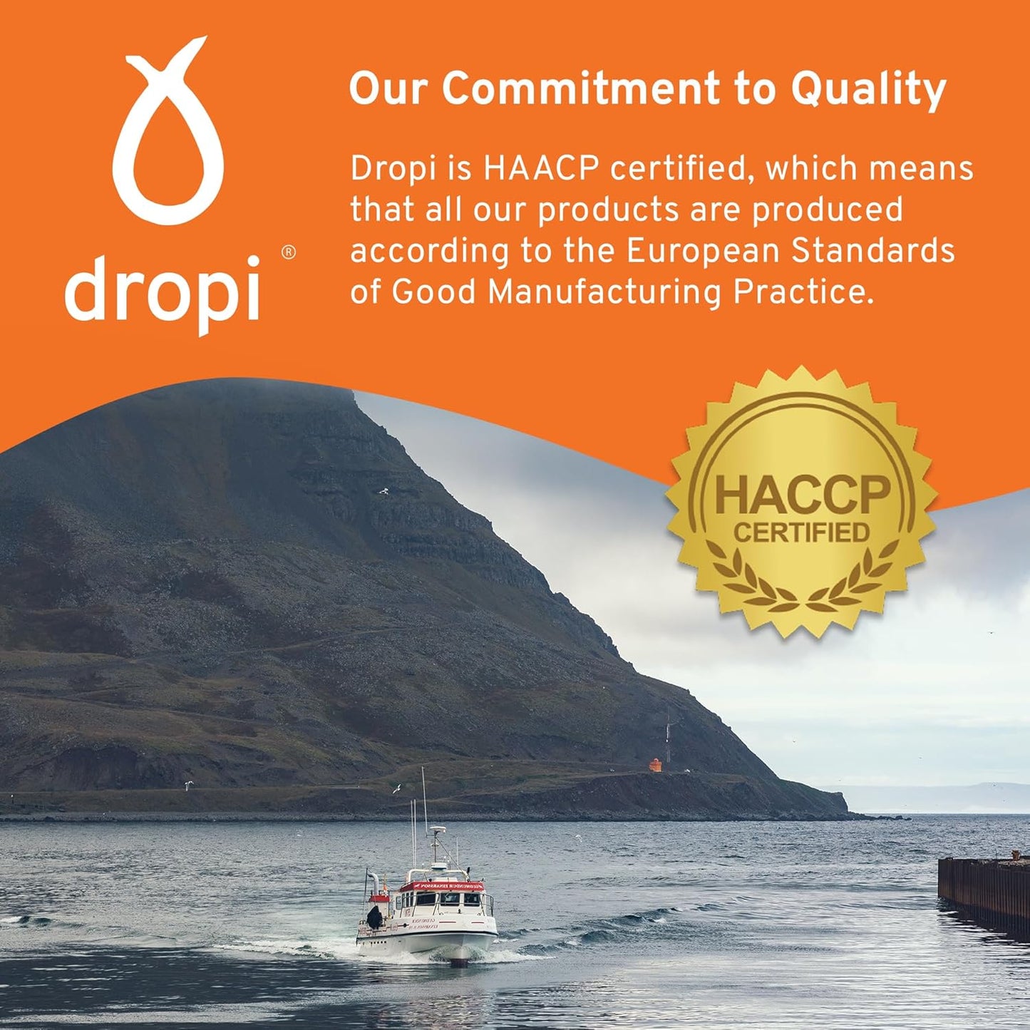 Premium Dropi Kids Liquid Omega-3 Fish Oil Supplement with EPA, DHA, Vitamin A & D - Immune, Brain, and Joint Support - 3.7 Fl Oz