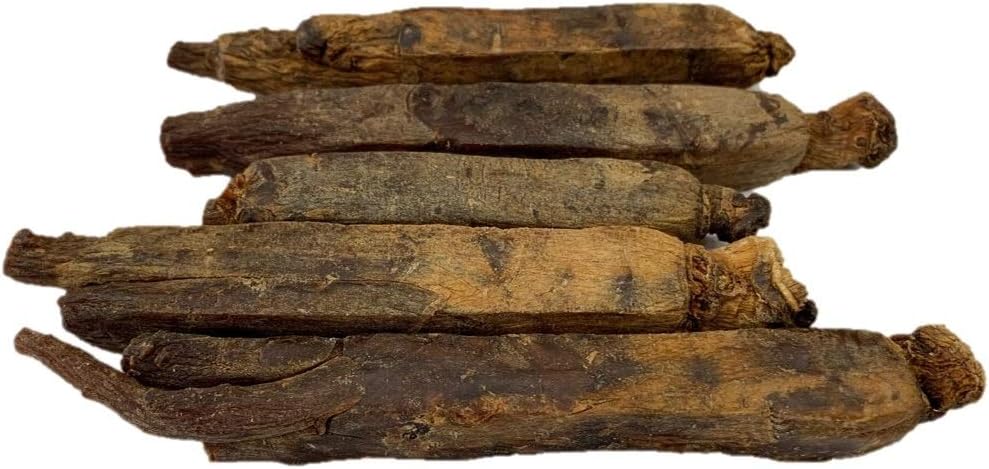 Premium Grade 6-Year Dried Panax Red Ginseng Root for Nutrition (8oz) - Green