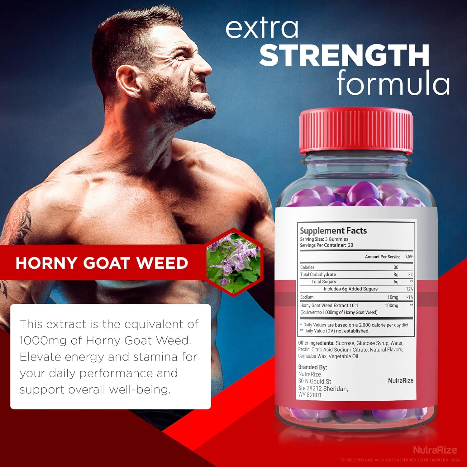 Premium NutraRize Elite Testo Rx Gummies (5 Pack) for Men's Health - All Natural Male Formula Supplement with 300 Gummies