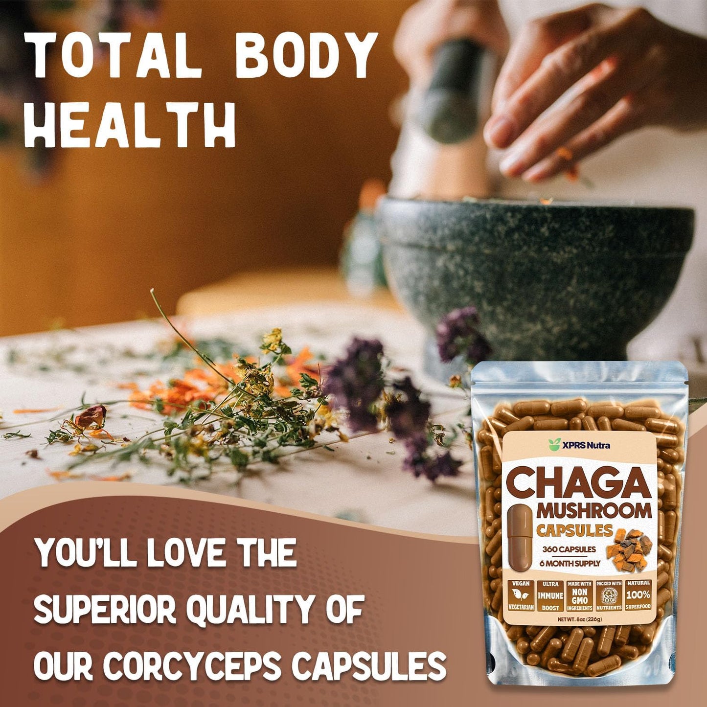 Premium USDA Chaga Mushroom Capsules for Immunity Boost - 360 Count