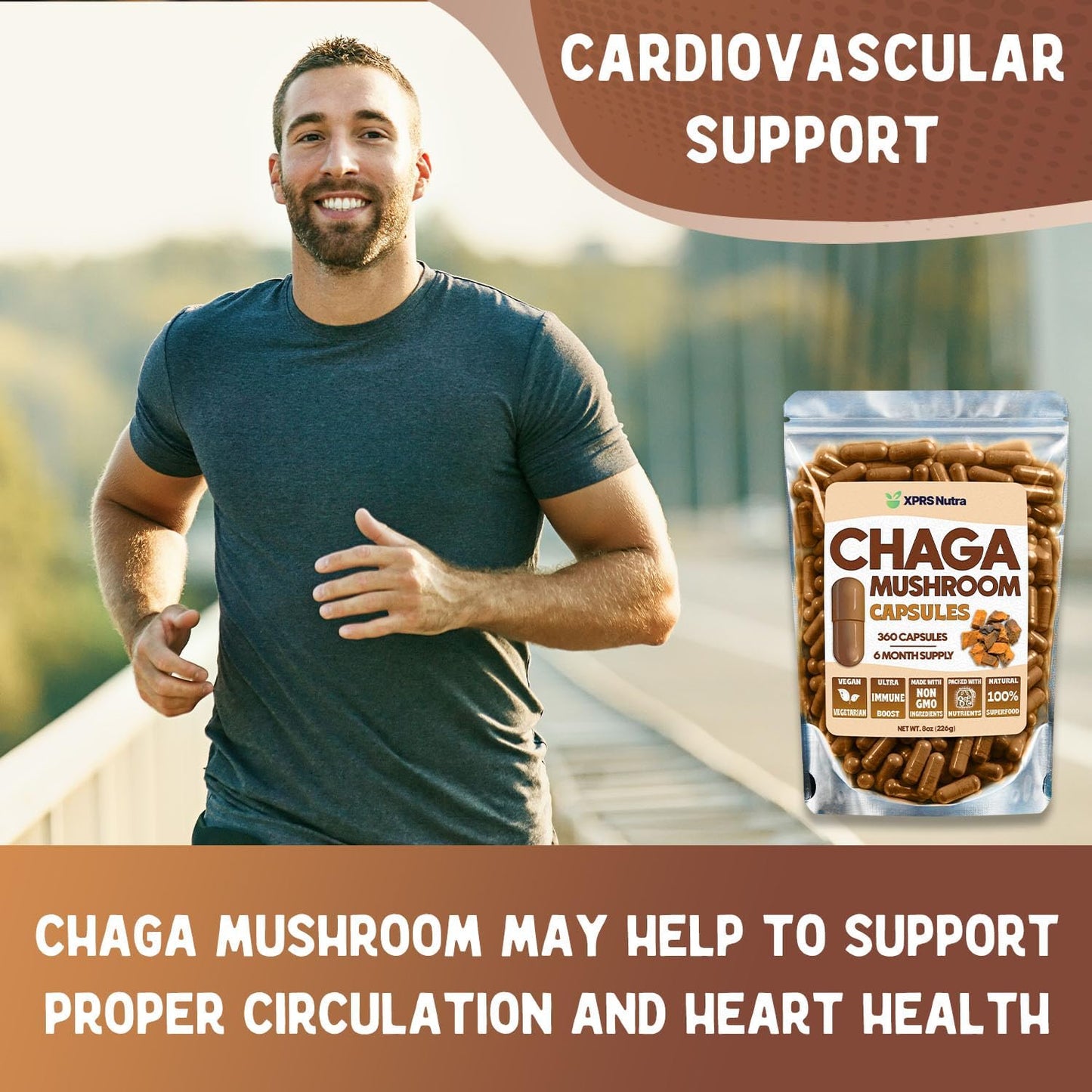 Premium USDA Chaga Mushroom Capsules for Immunity Boost - 360 Count