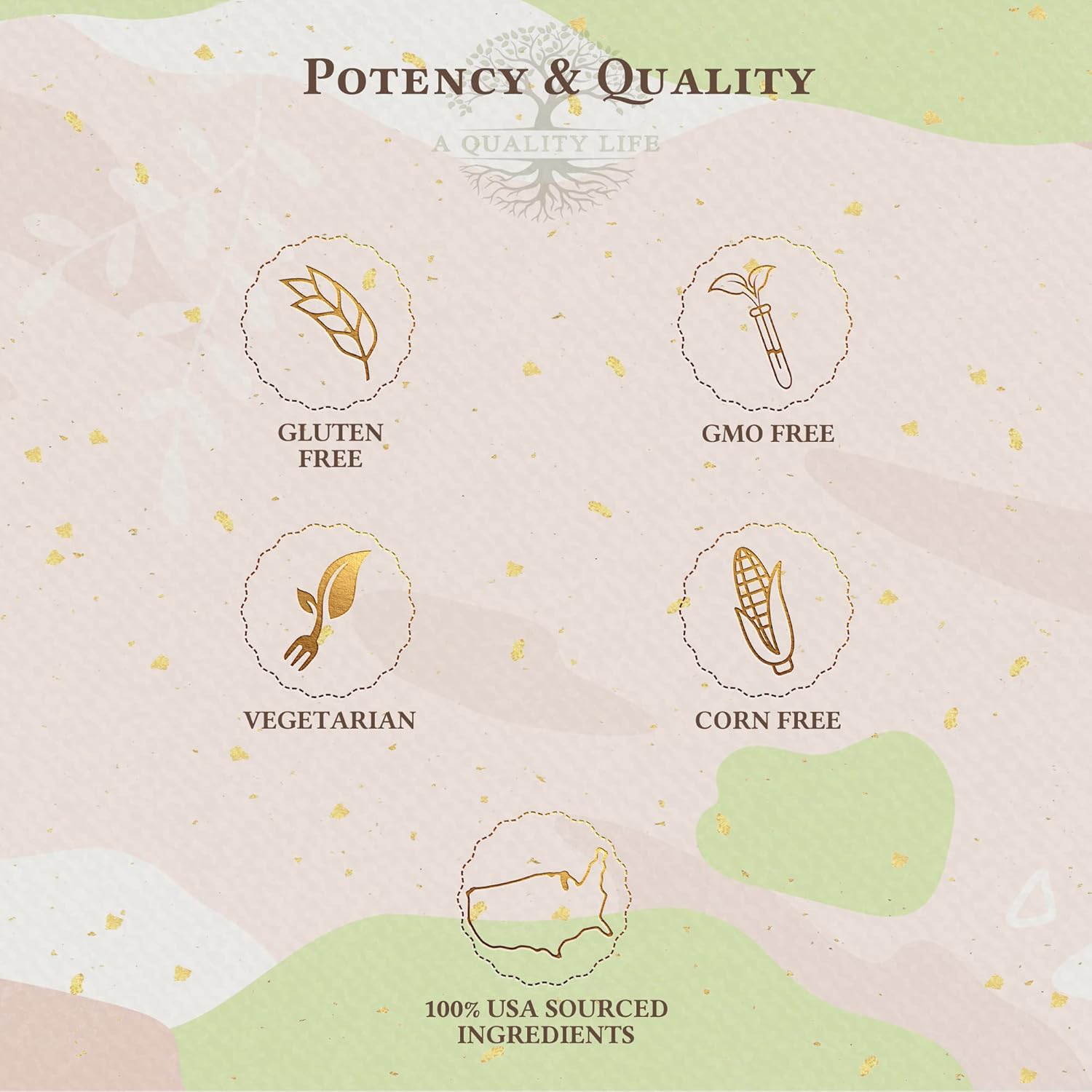 Premium Vanilla Milkshake Protein Whey Blend for a Quality Life